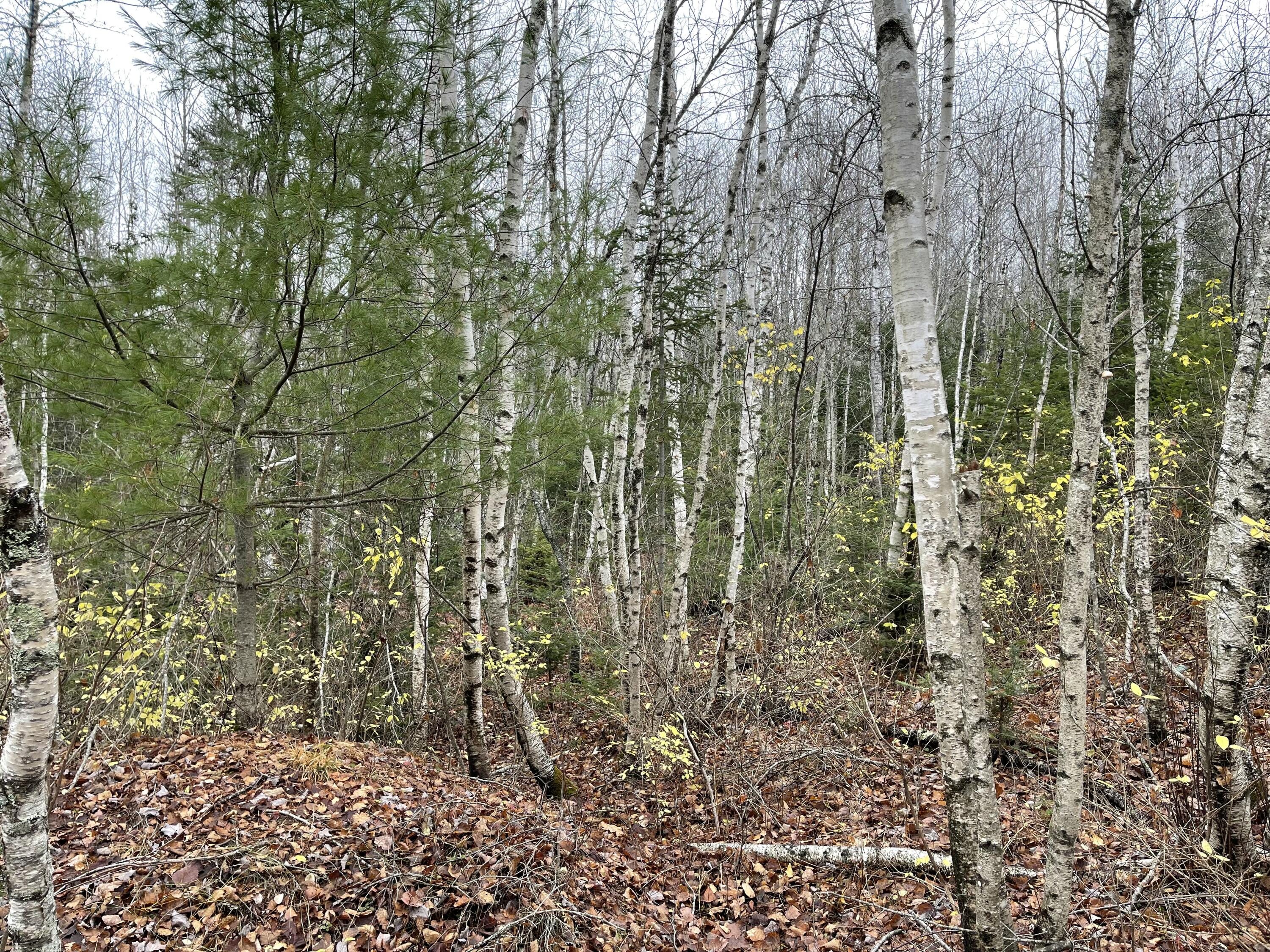 194 E Gulch Road, Thorndike, ME, 04986