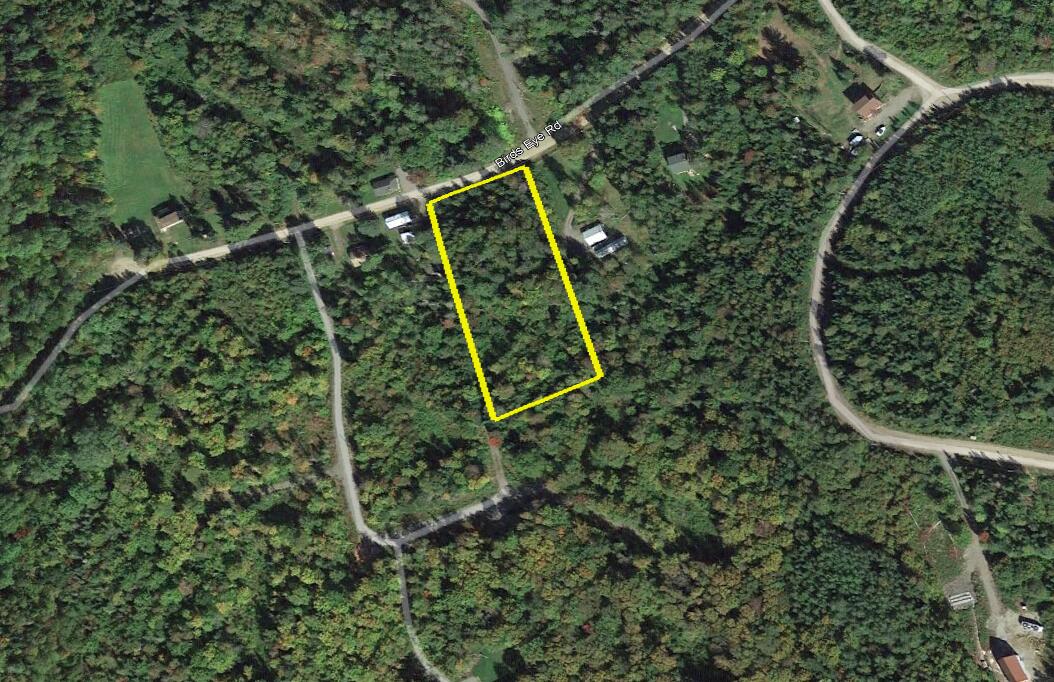 Map 11 Lot 8 Gray Road, Sangerville, ME, 04479