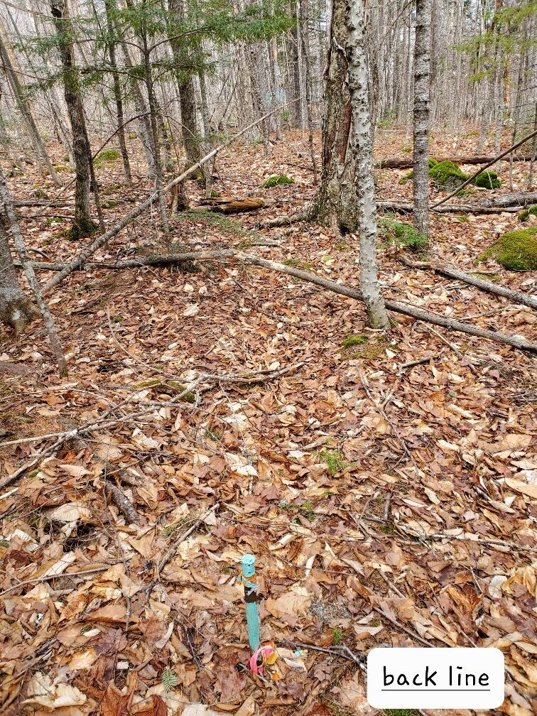 0 Sandy Beach Road, Danforth, ME, 04424