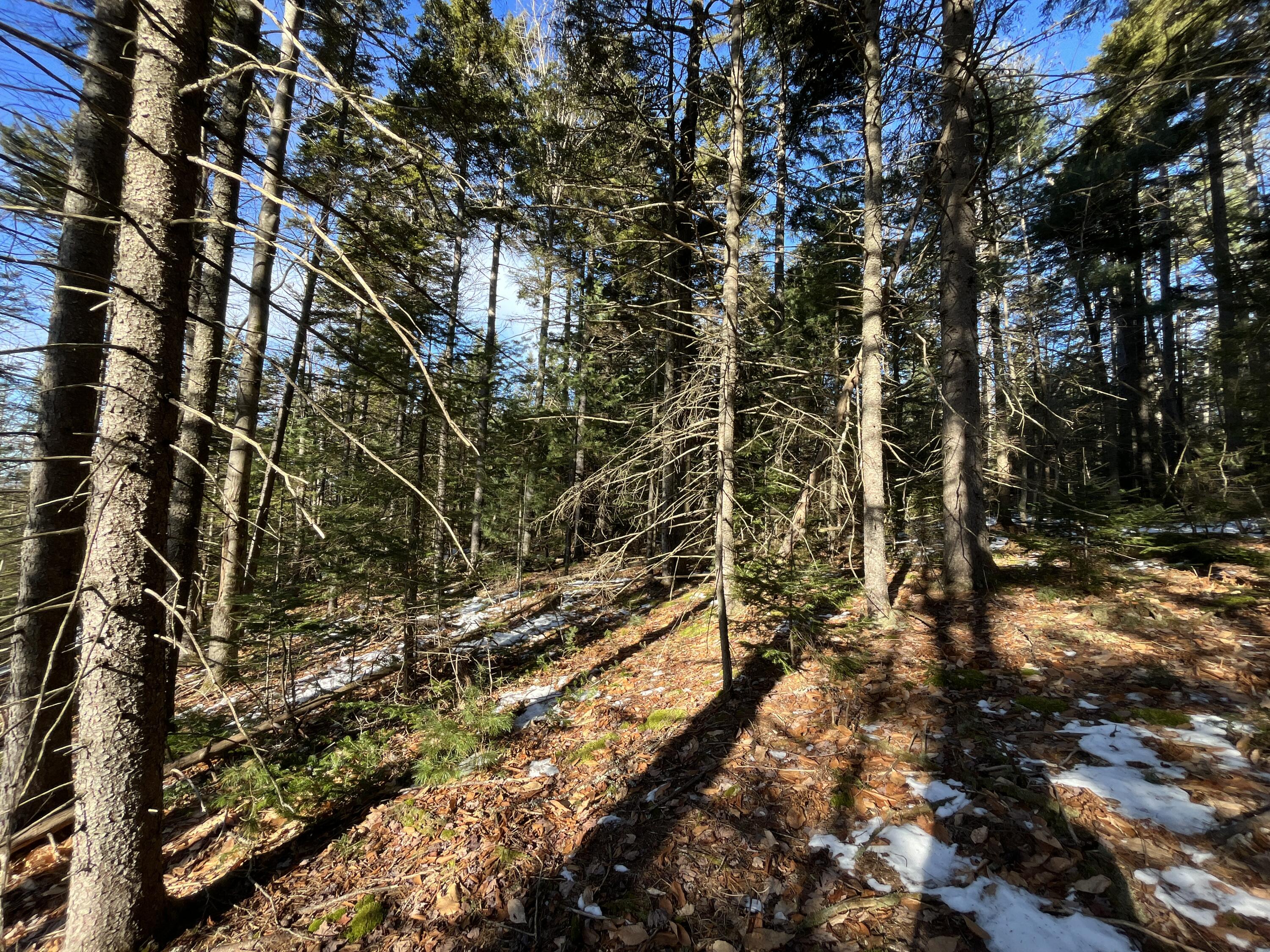 0 High Street, Peru, ME, 04290