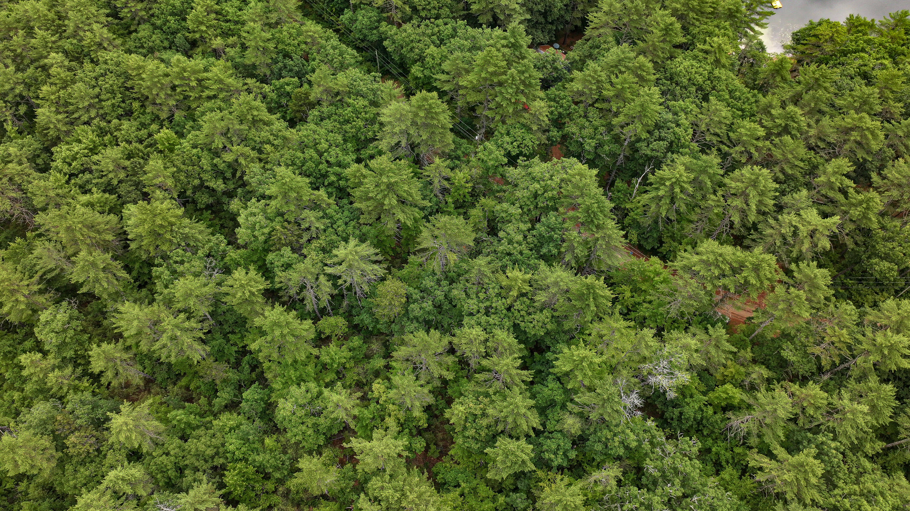 62-B Long Pond Drive, Denmark, ME, 04022