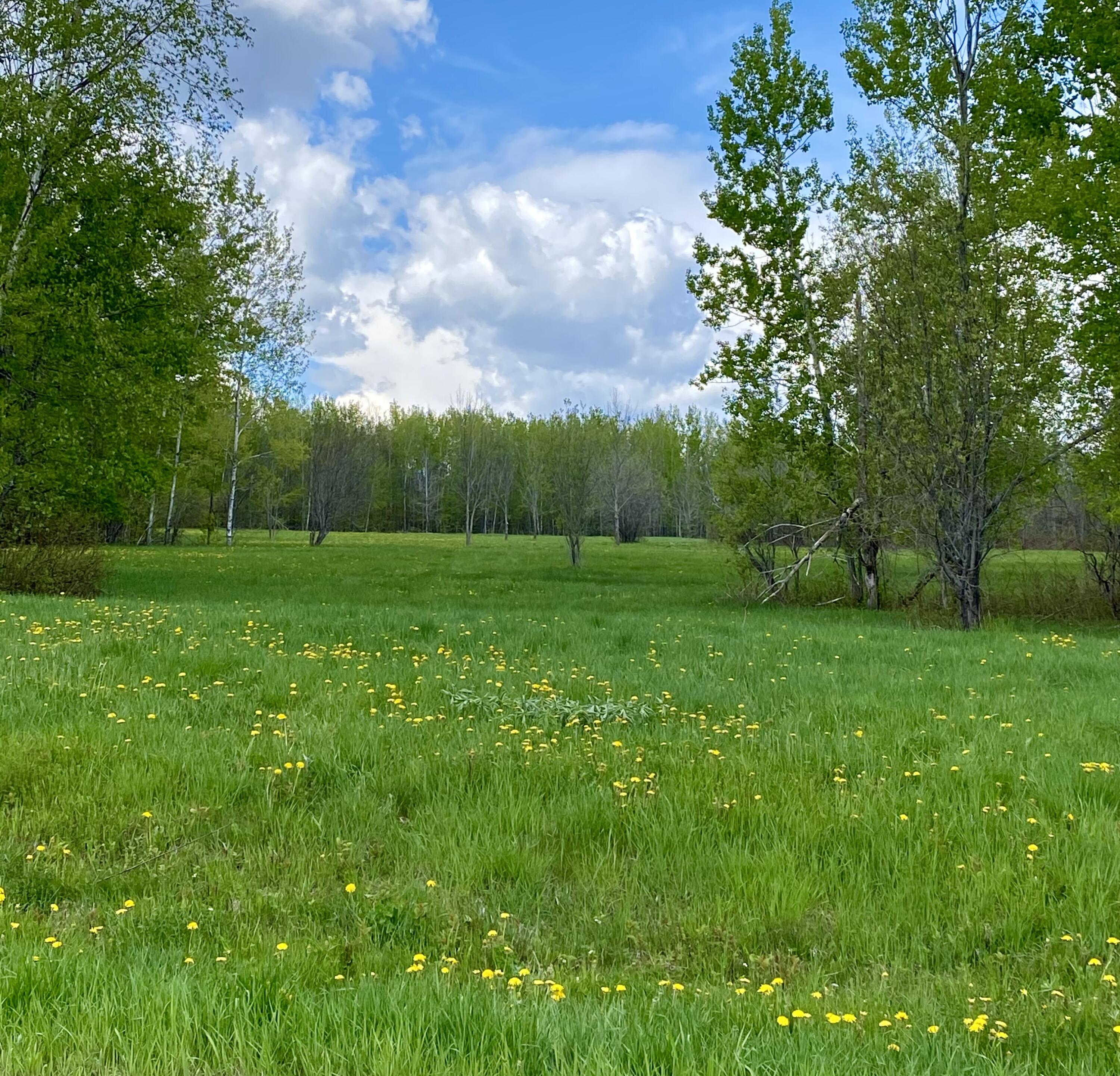 Homes For Sale In Maine Under $200,000