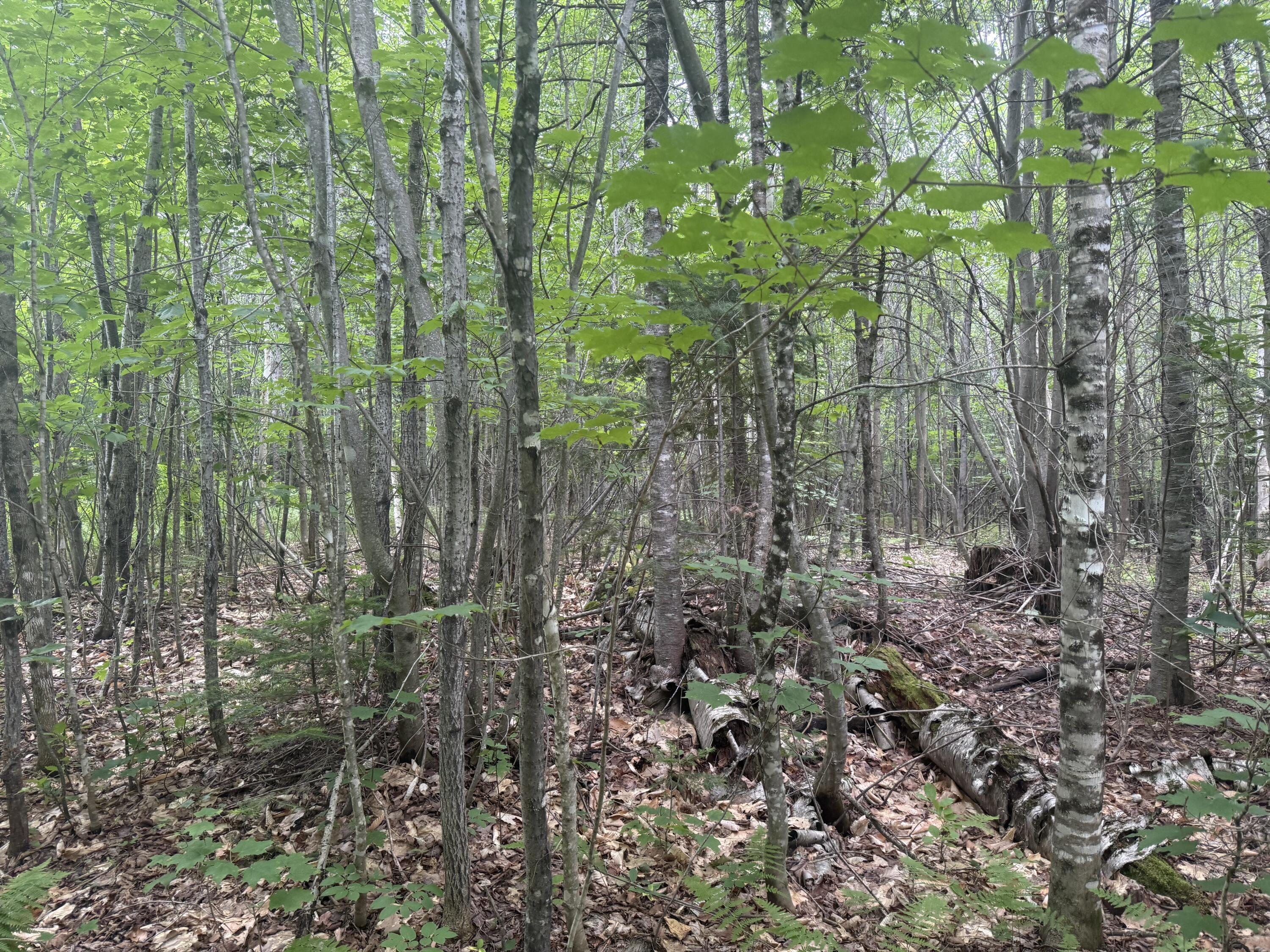 Farmington Maine Real Estate & Homes For Sale