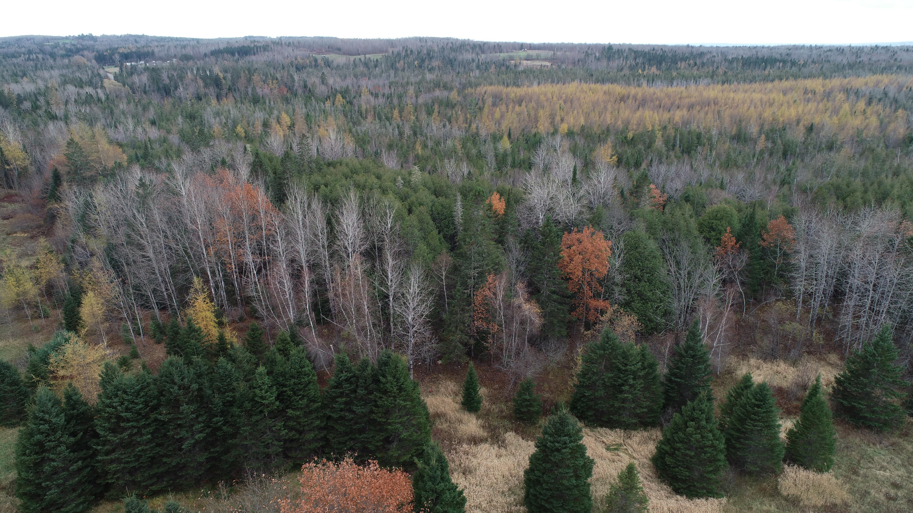 Lot 18 US RT 2 Highway, Sherman, ME, 04776