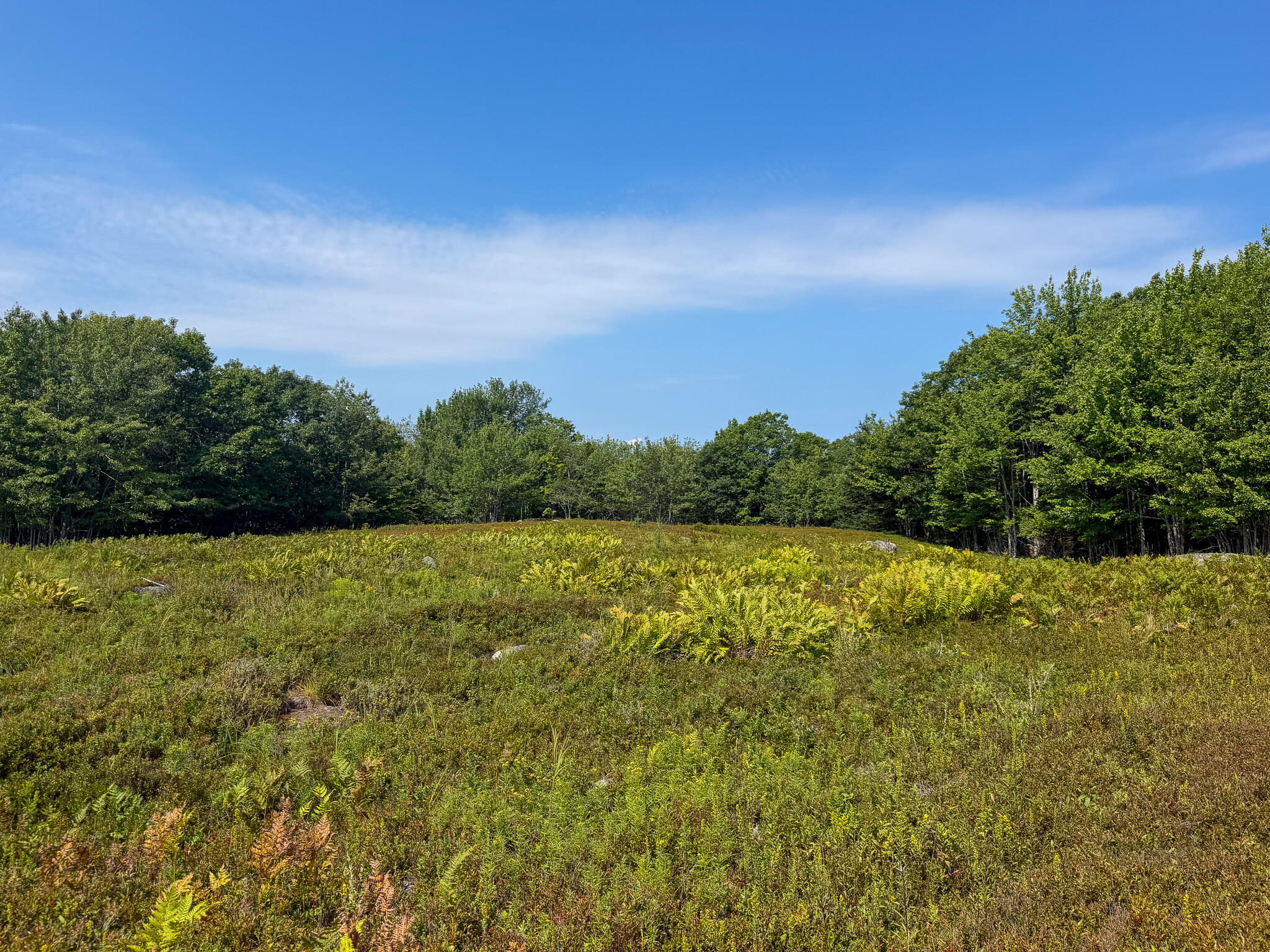 Photo of Lot 14 Off Bartlett Street Machias ME 04654