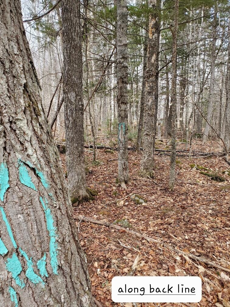 0 Sandy Beach Road, Danforth, ME, 04424