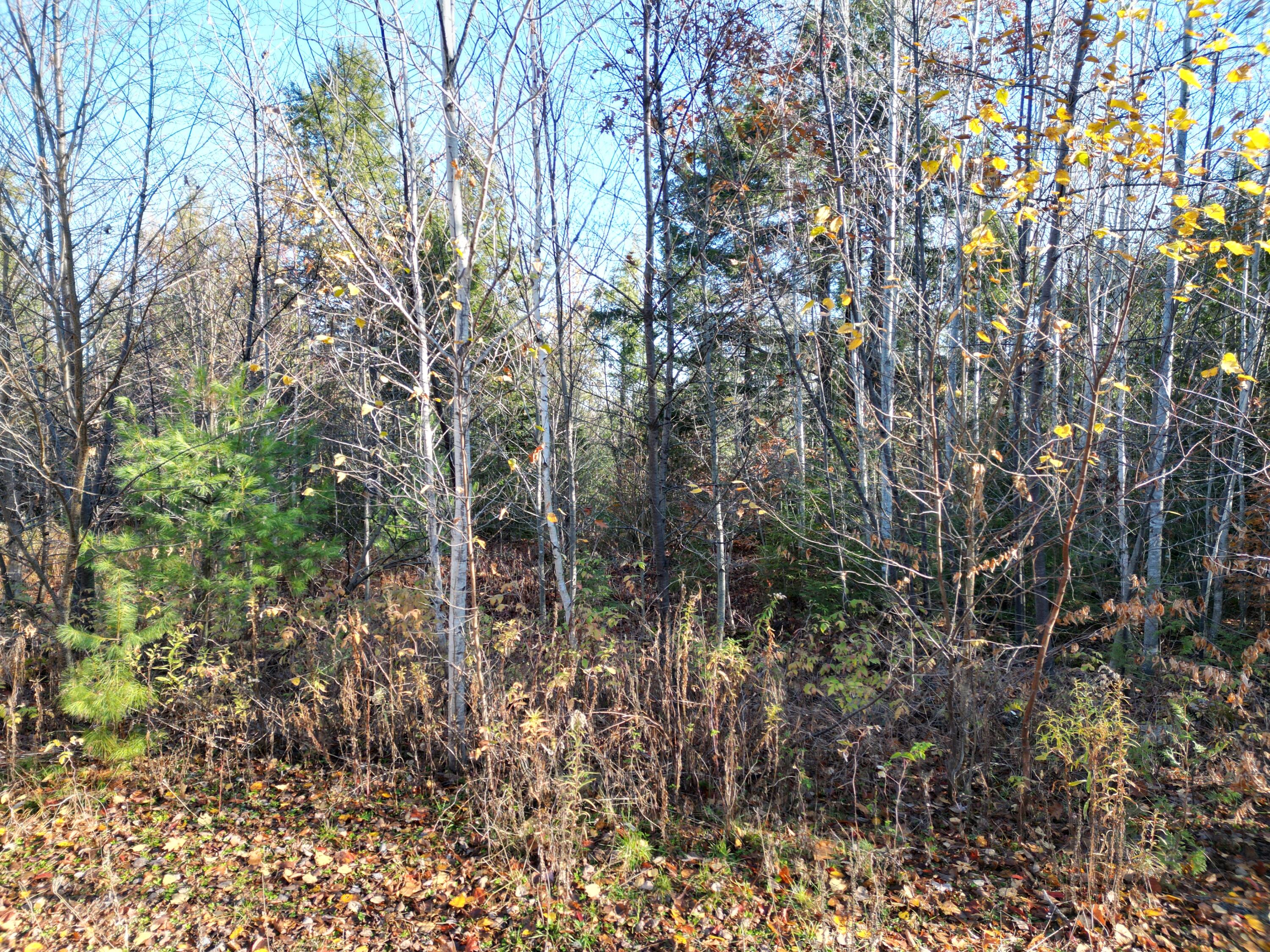 Lot 18-1 Mattamiscontis Road, Howland, ME, 04448