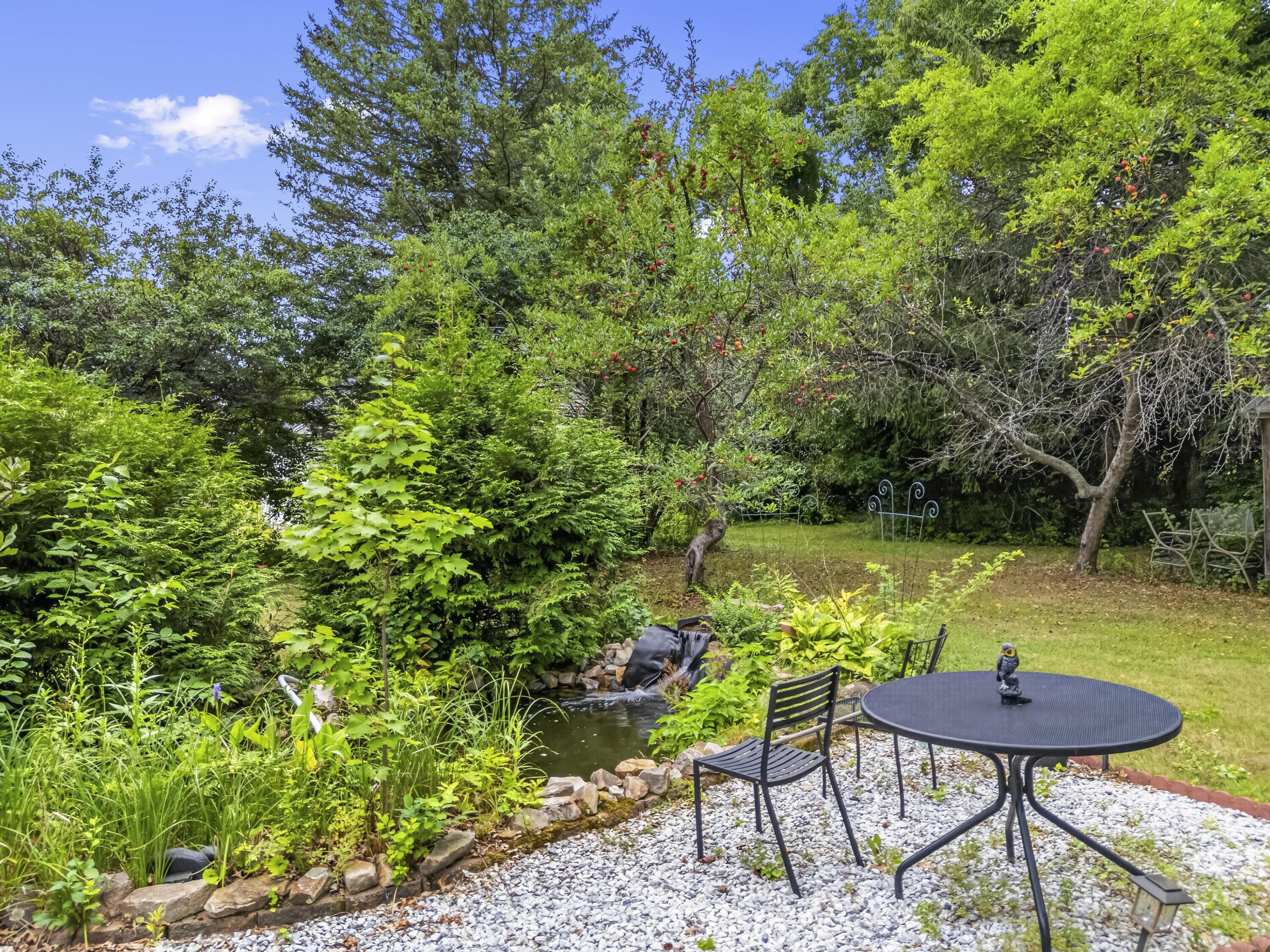 313 Portland Street, Berwick, ME 03901 Back Yard
