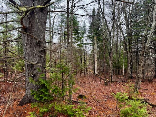 SO 001 Plan 2 Lot 16.1 Long Falls Dam Road, Lexington Twp, ME, 04961