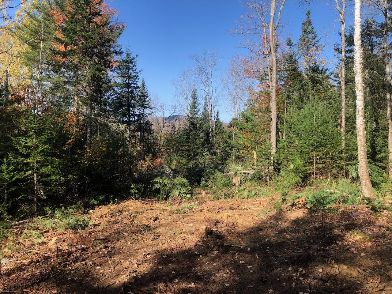 923 Center Hill Road, Weld, ME, 04285