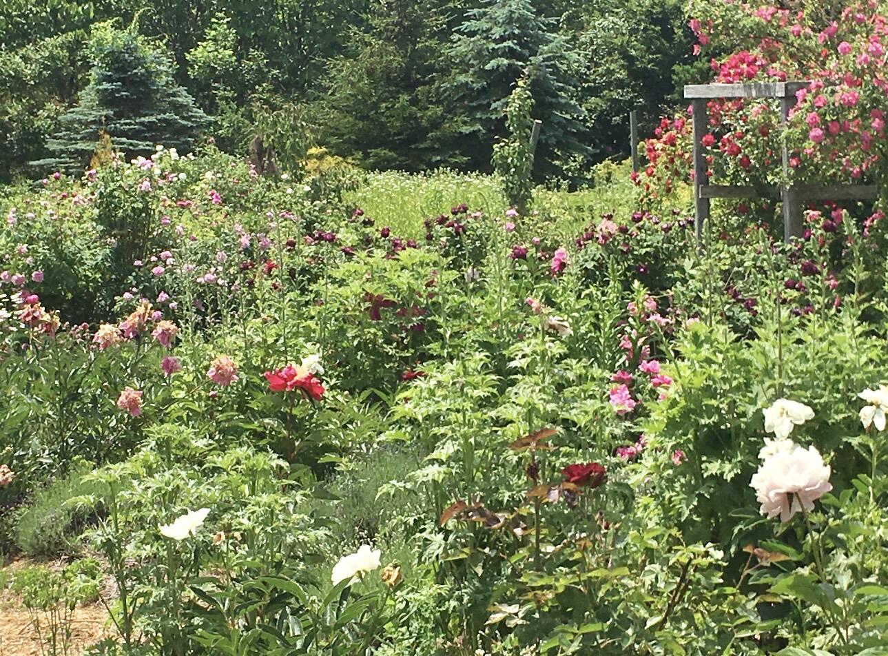 361 Waldoboro Road, Friendship, ME, 04547