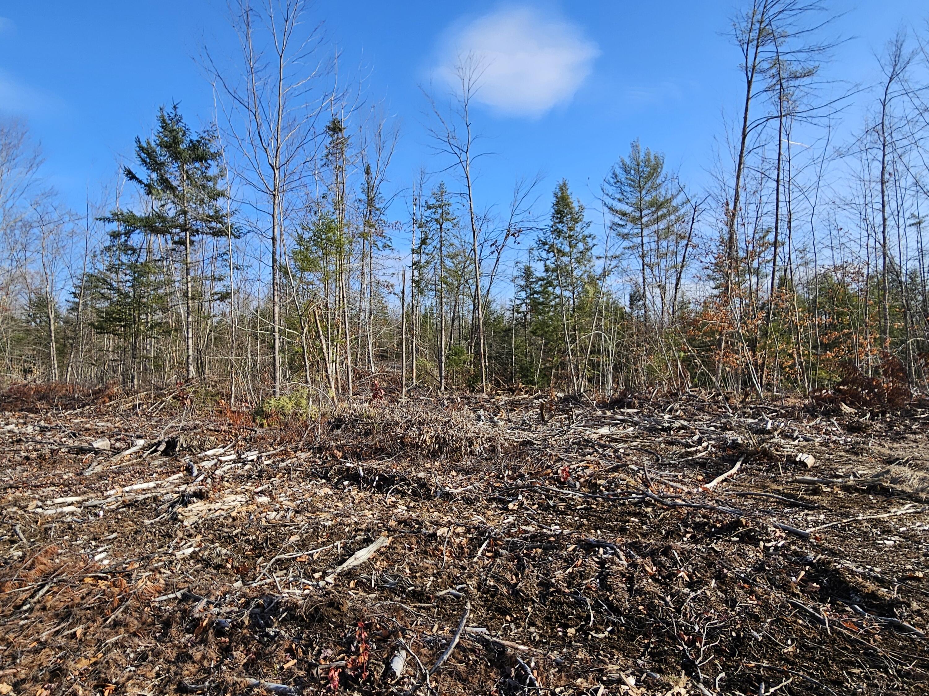 M-3 L-33-5 Cape Cod Hill Road, New Sharon, ME, 04955