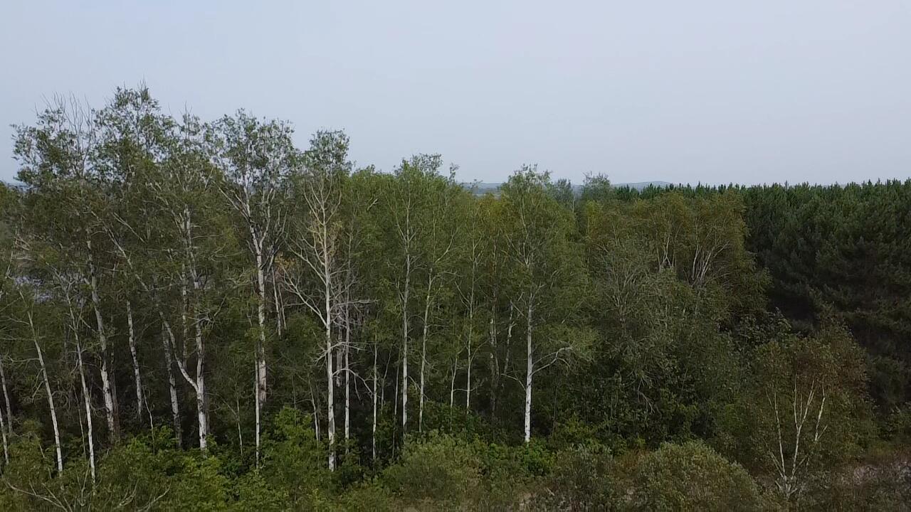 M48L15/16 US Rt 1, Grand Isle, ME, 04746