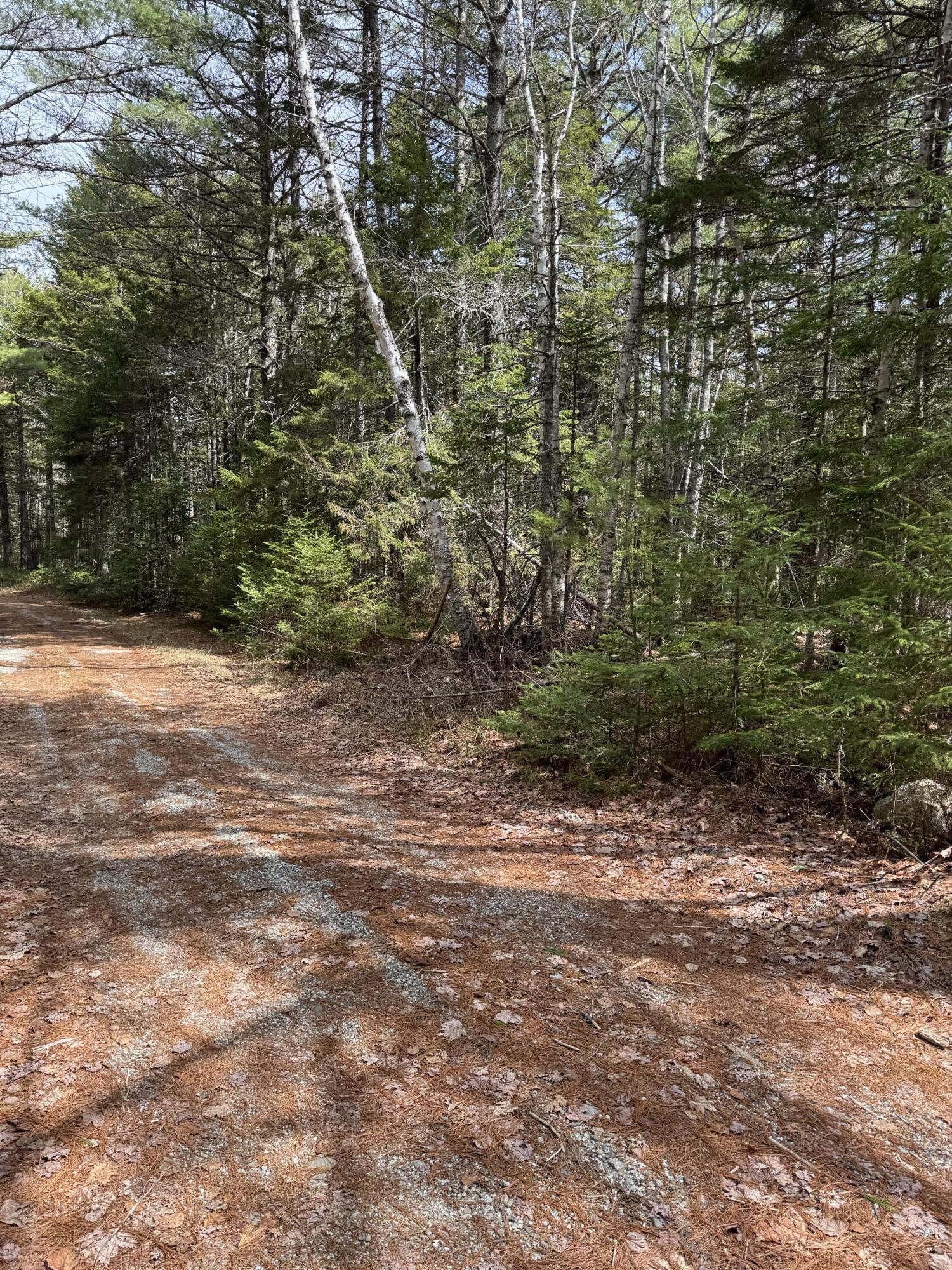 18-B Back Pasture Lane, Blue Hill, ME, 04614