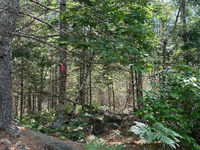 Lot UNIT&nbsp;4 Bonnie Way, Winterport, ME, 04496