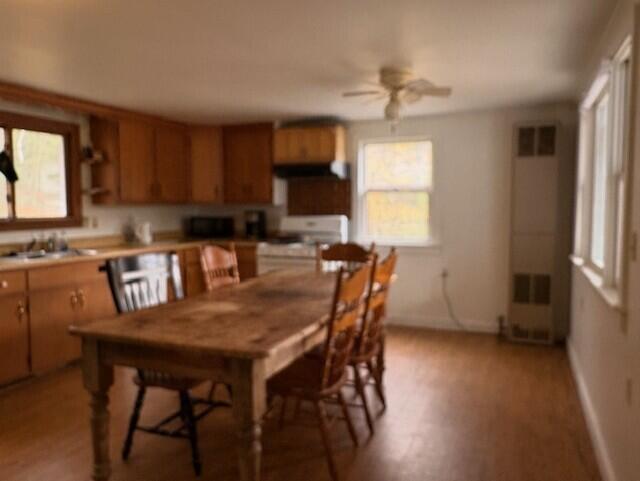 50 Blackwoods Road, Franklin, ME, 04634