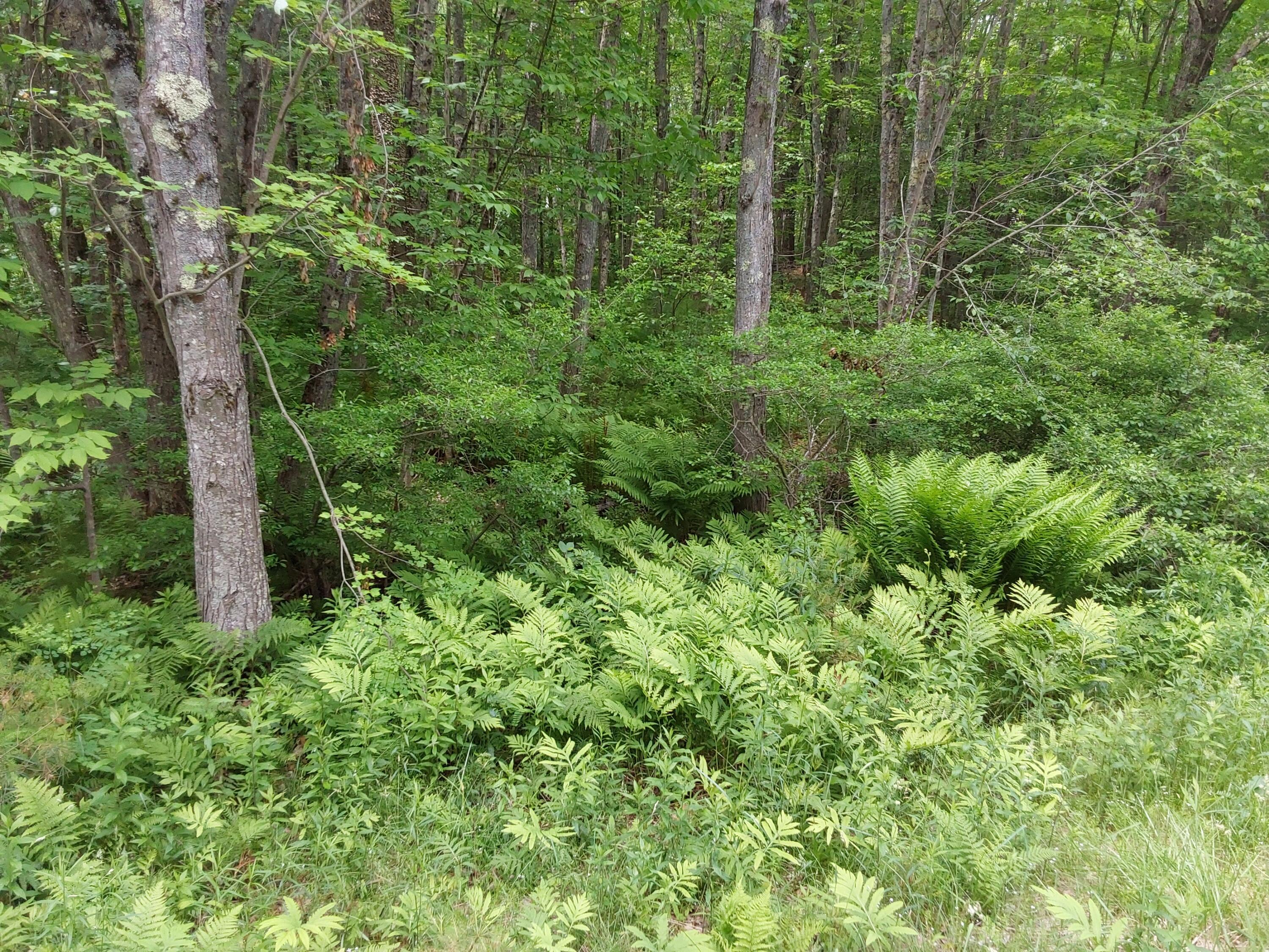 M19-L16-1 Augsuta Road, Jefferson, ME, 04348