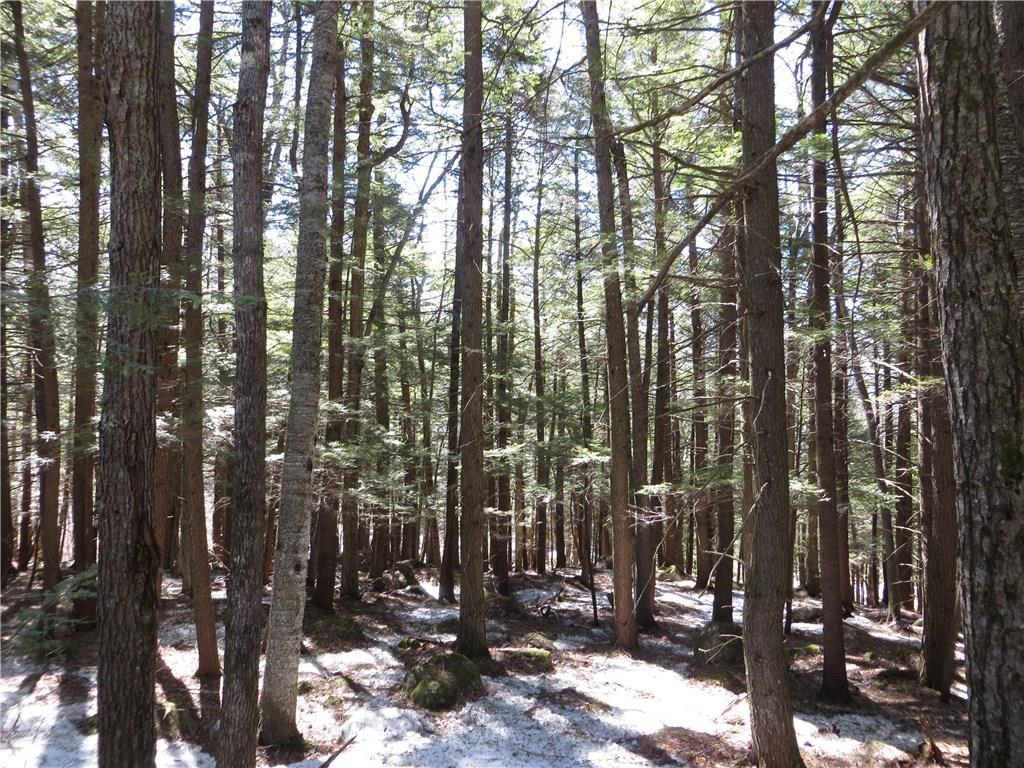 Lot 67 Snowbird Lane, Newry, ME, 04261