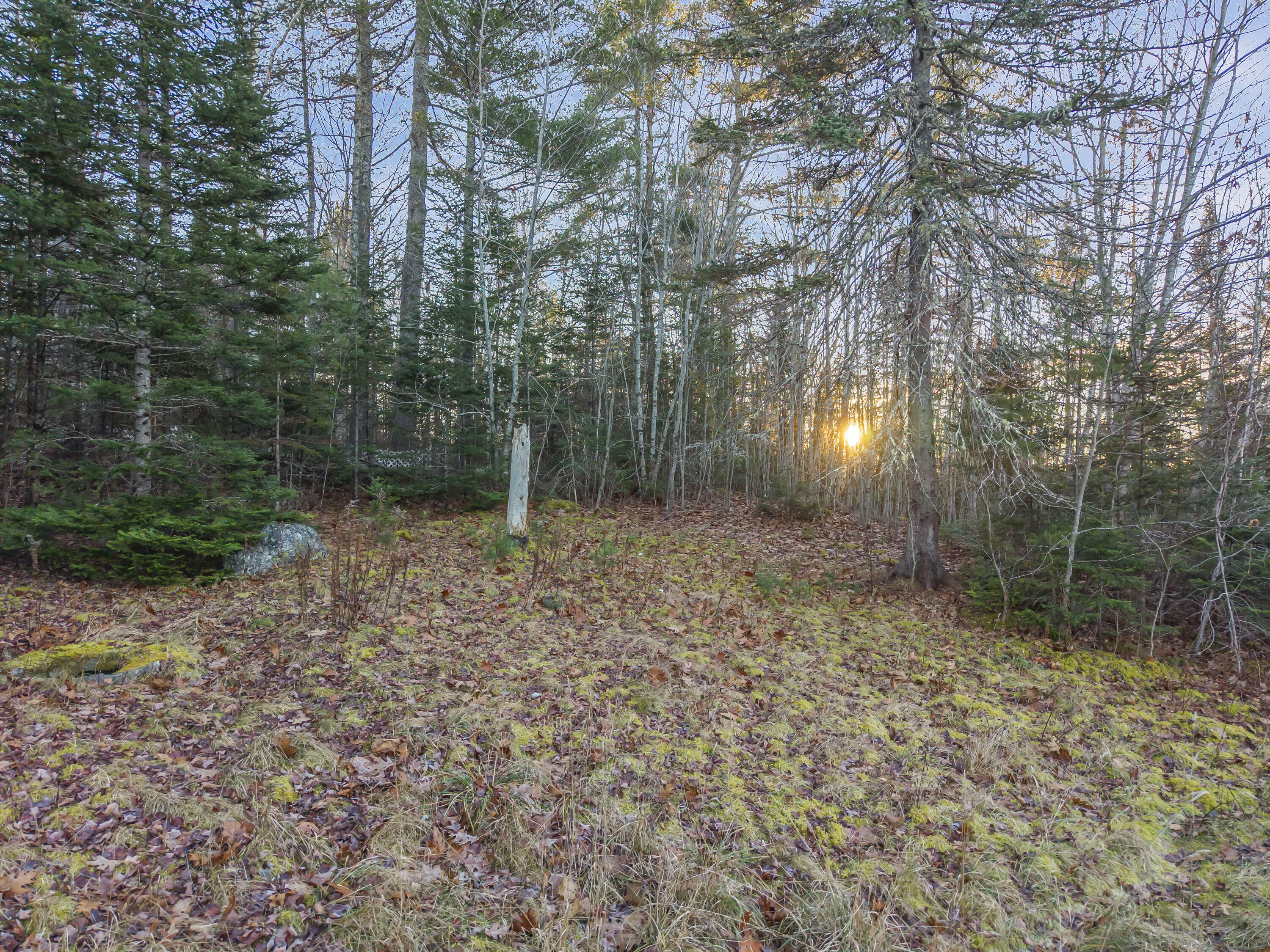 Lot A + B Reef Road, Waldoboro, ME, 04572
