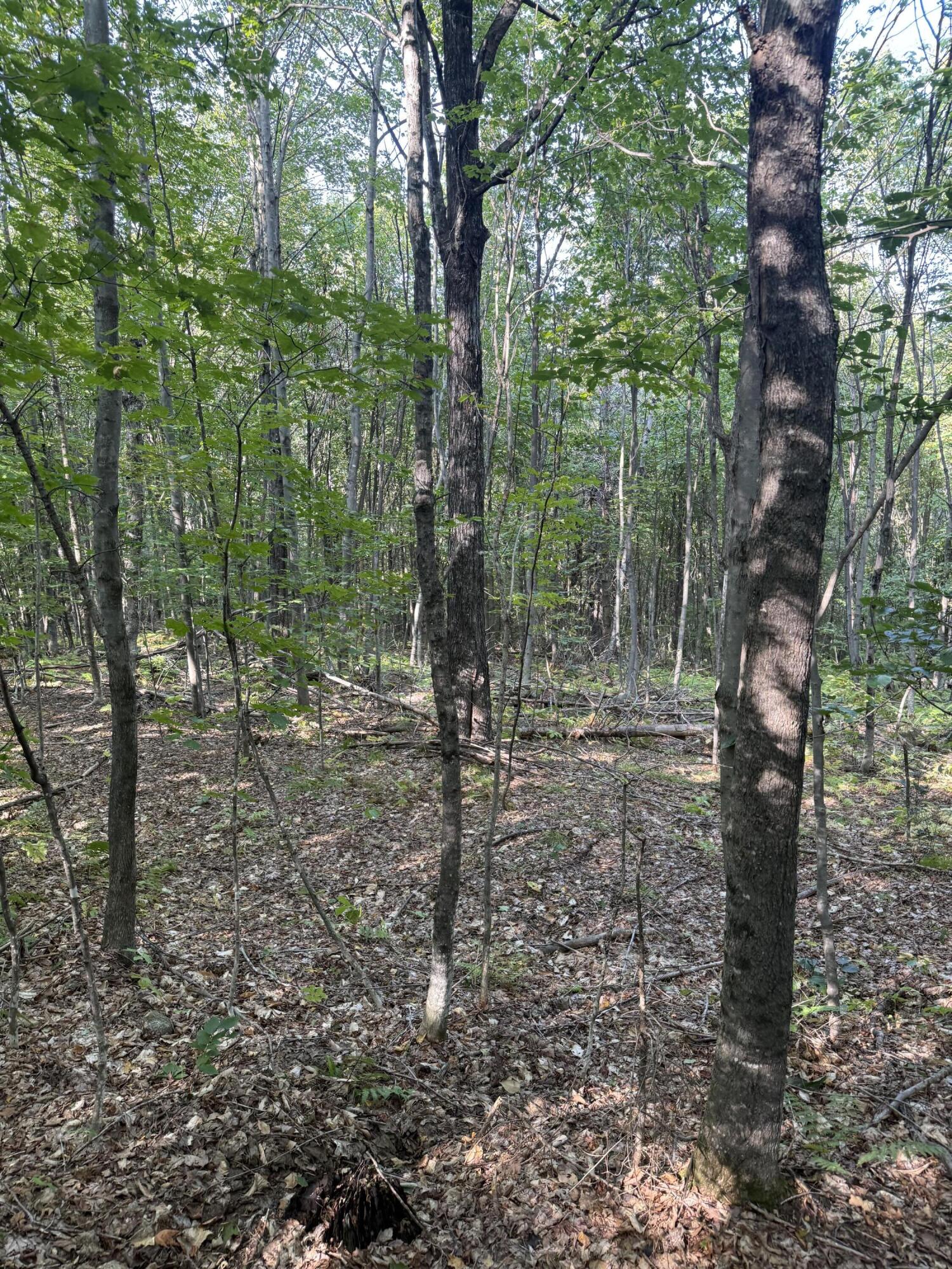 LotUNIT&nbsp;55 Arlines Way, Woodstock, ME, 04219