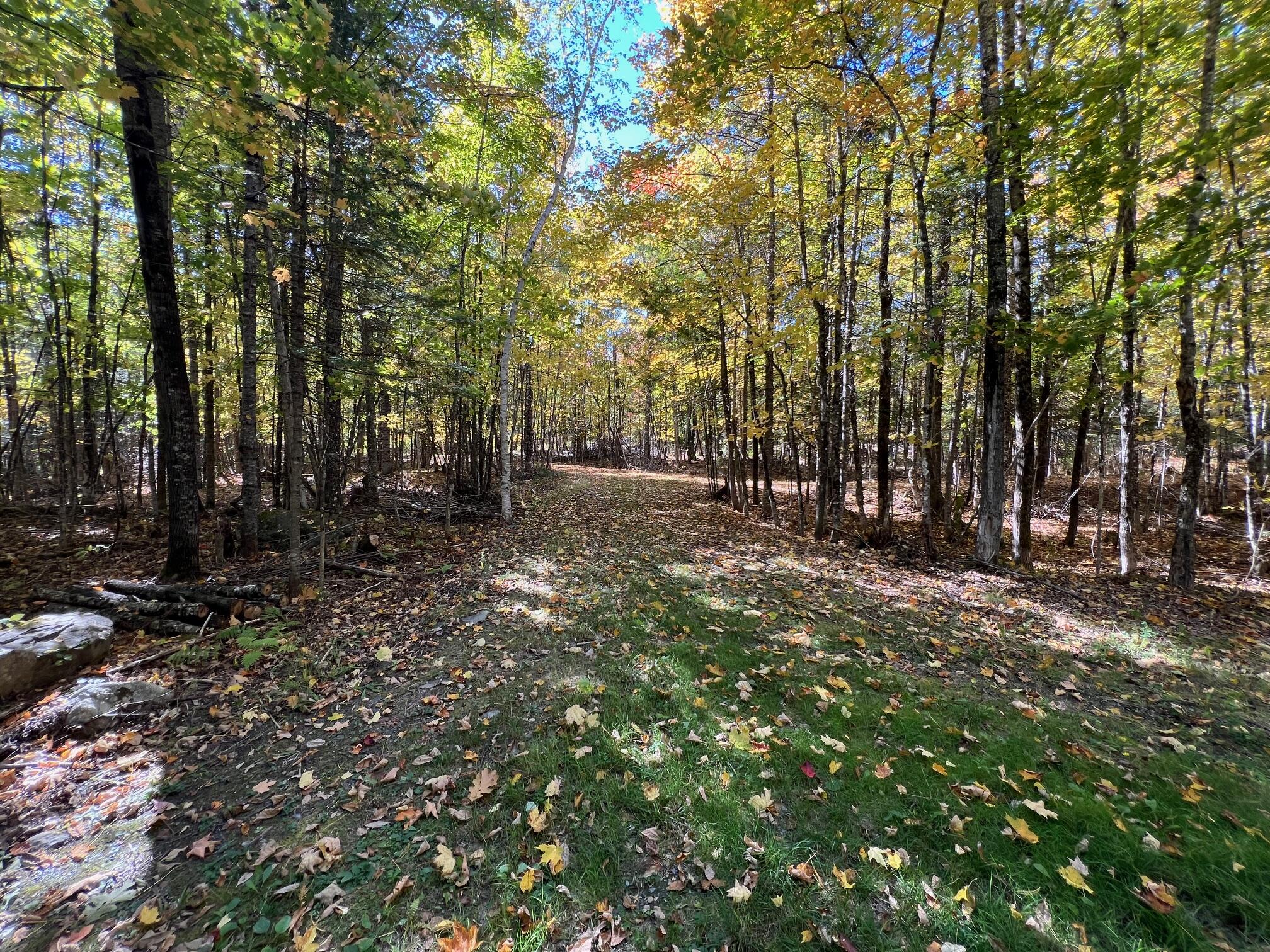 Map 10 Lot 68A Snows Pond Road, Dover-foxcroft, ME, 04426