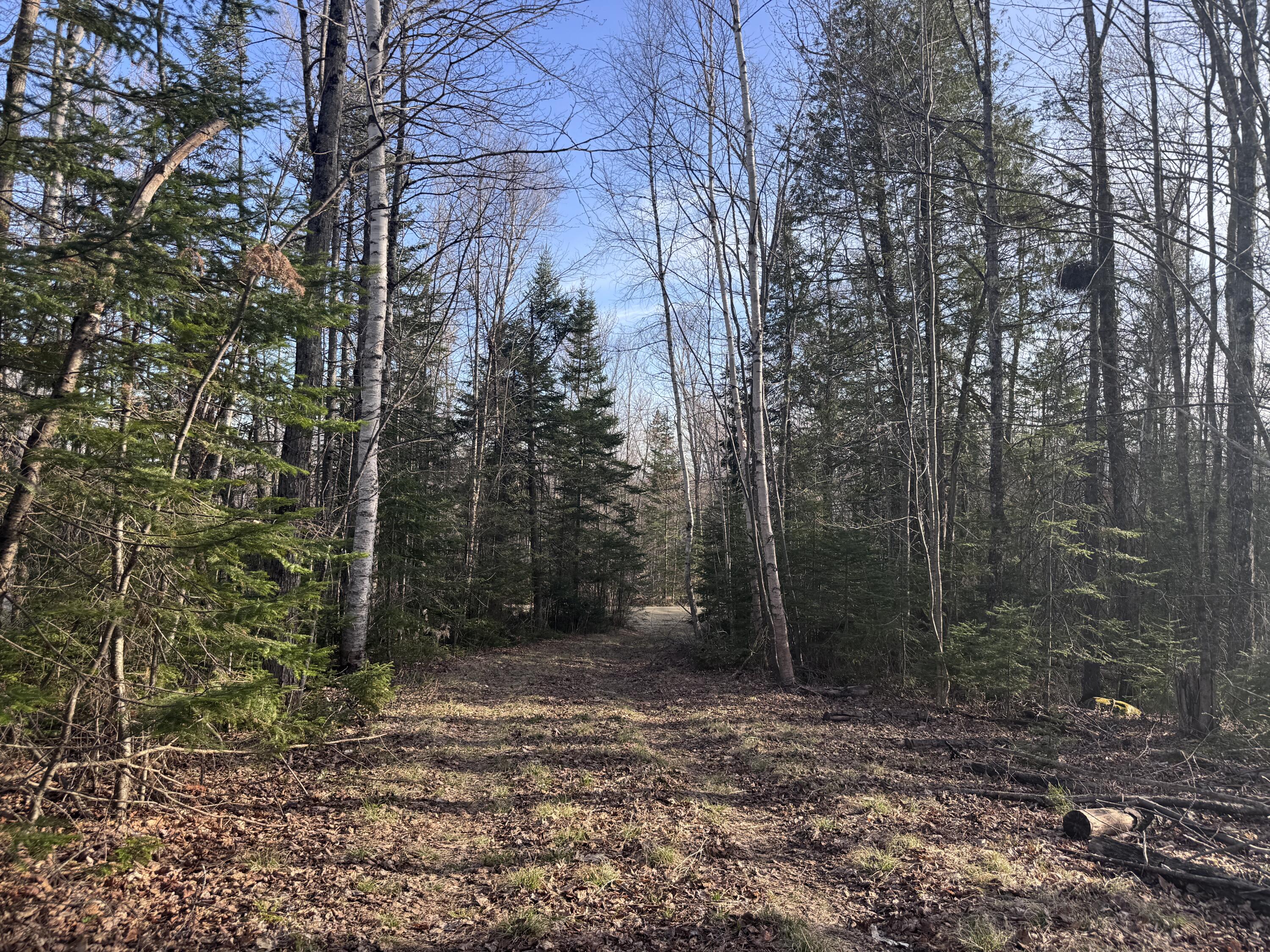 488 Cook Hill Road, Freeman Twp, ME 04983 Driveway