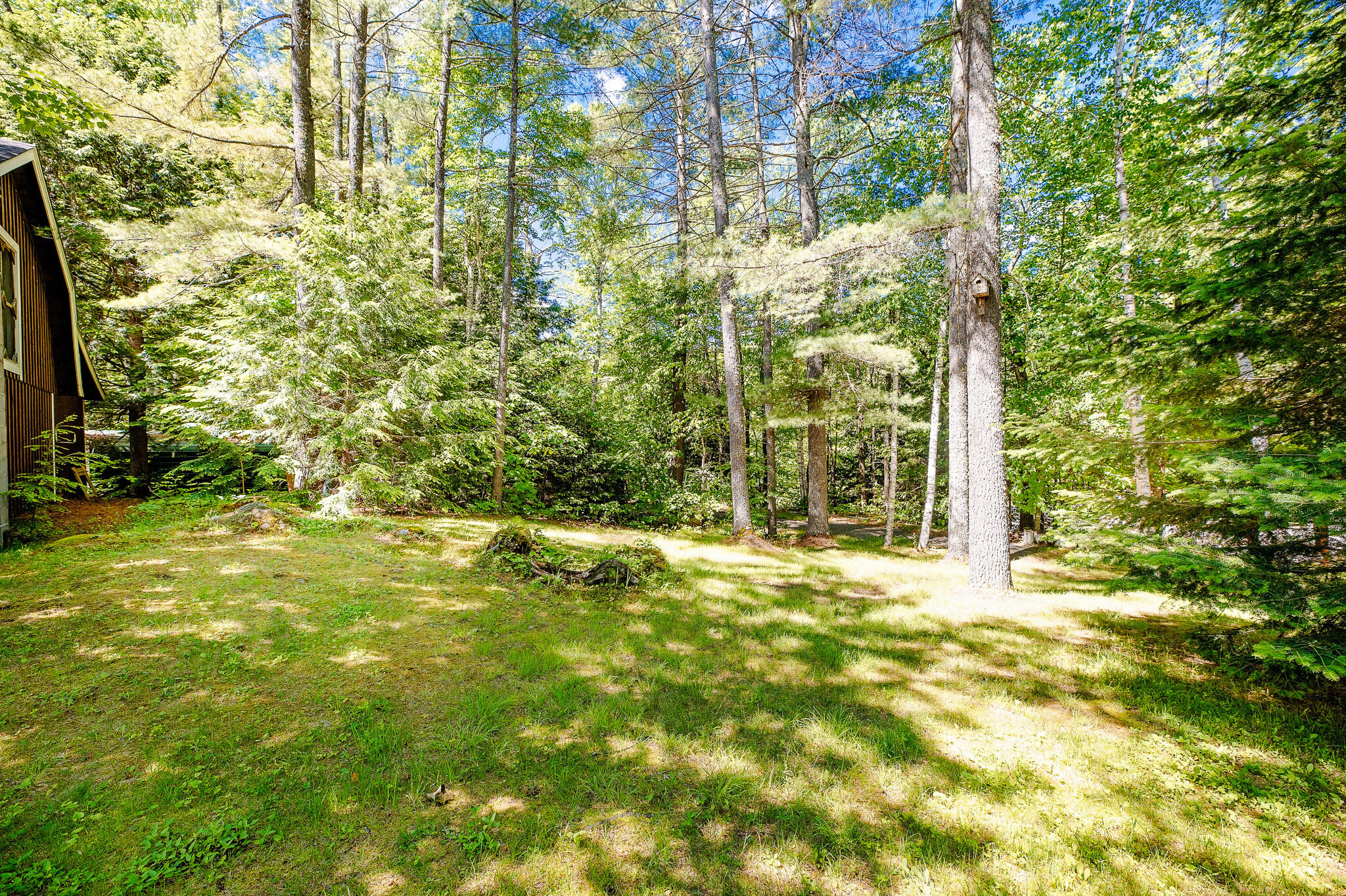 1574 Roxbury Road, Roxbury, ME 04275 1574 Roxbury Road