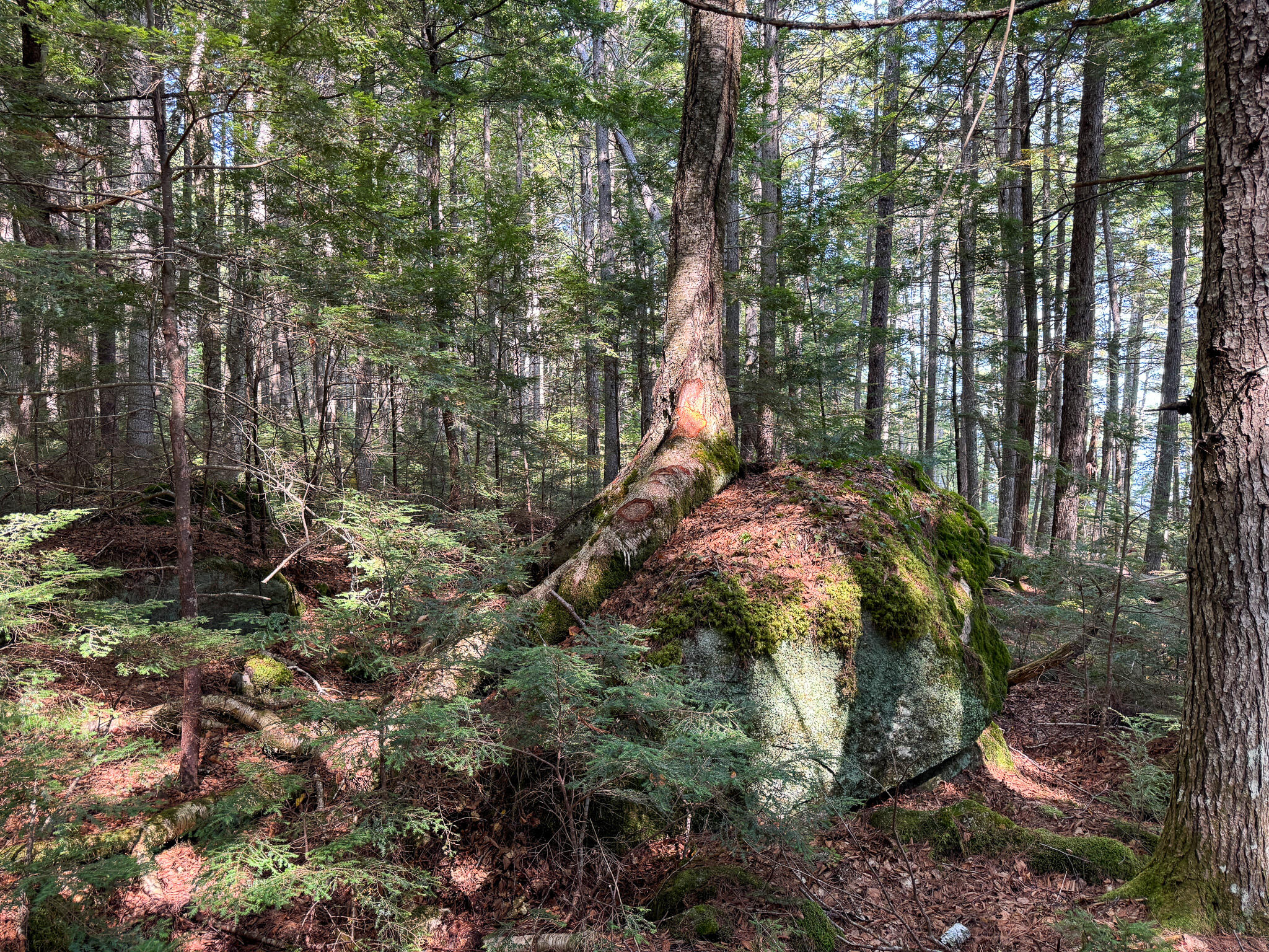 P/O M29L23 Bluff Road, Enfield, ME, 04493