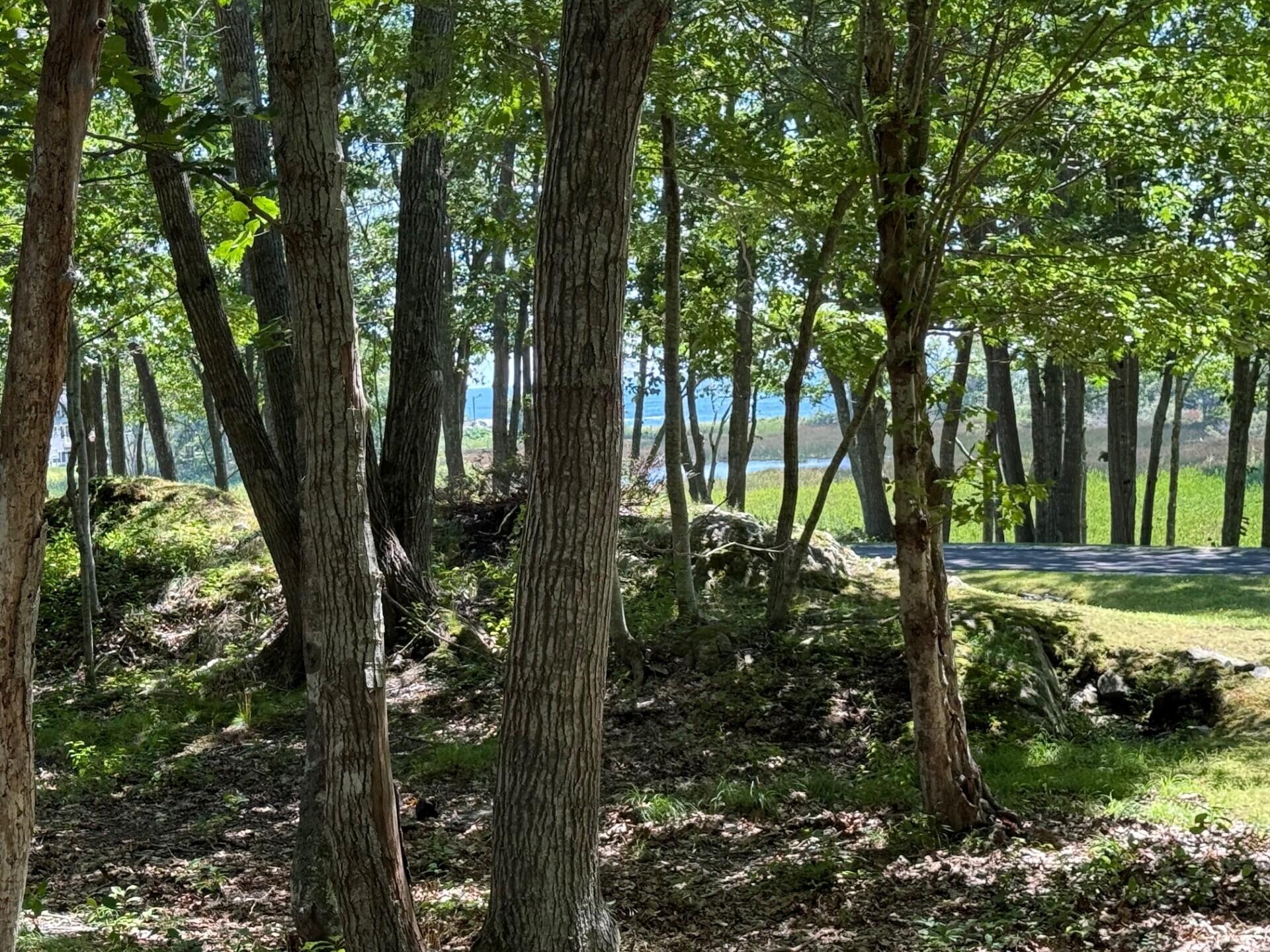 Photo of Lot 8A Elizabethan Drive Kennebunkport ME 04046