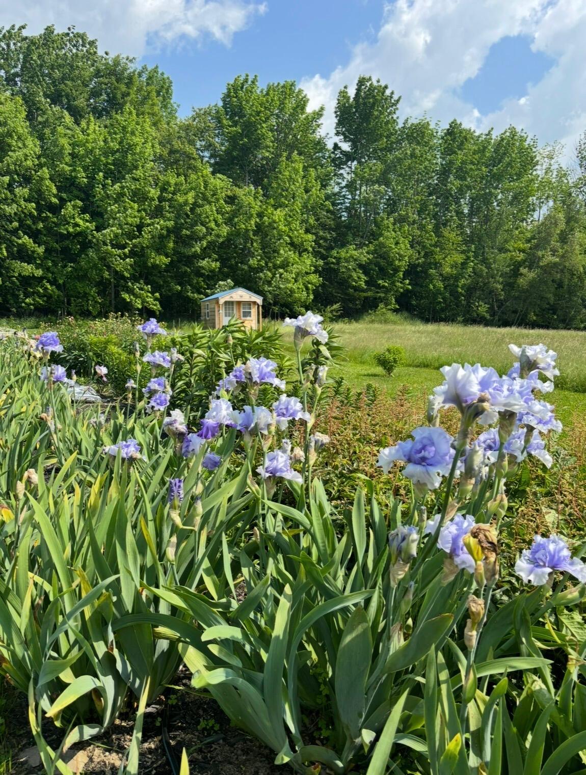 68 Pullen Road, Dexter, ME, 04930