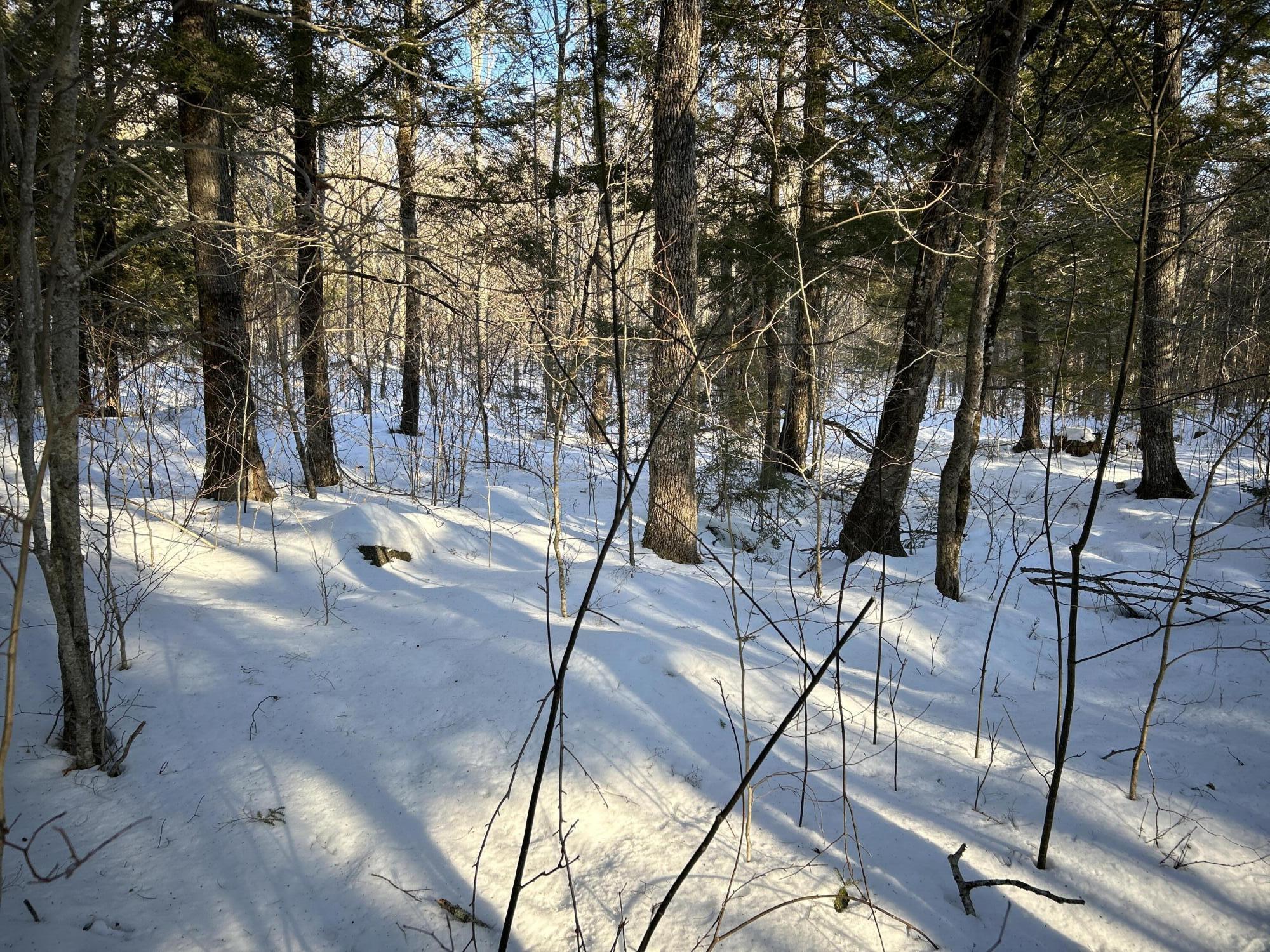 M7L22 Nelson Ridge Road N, Washington, ME, 04574