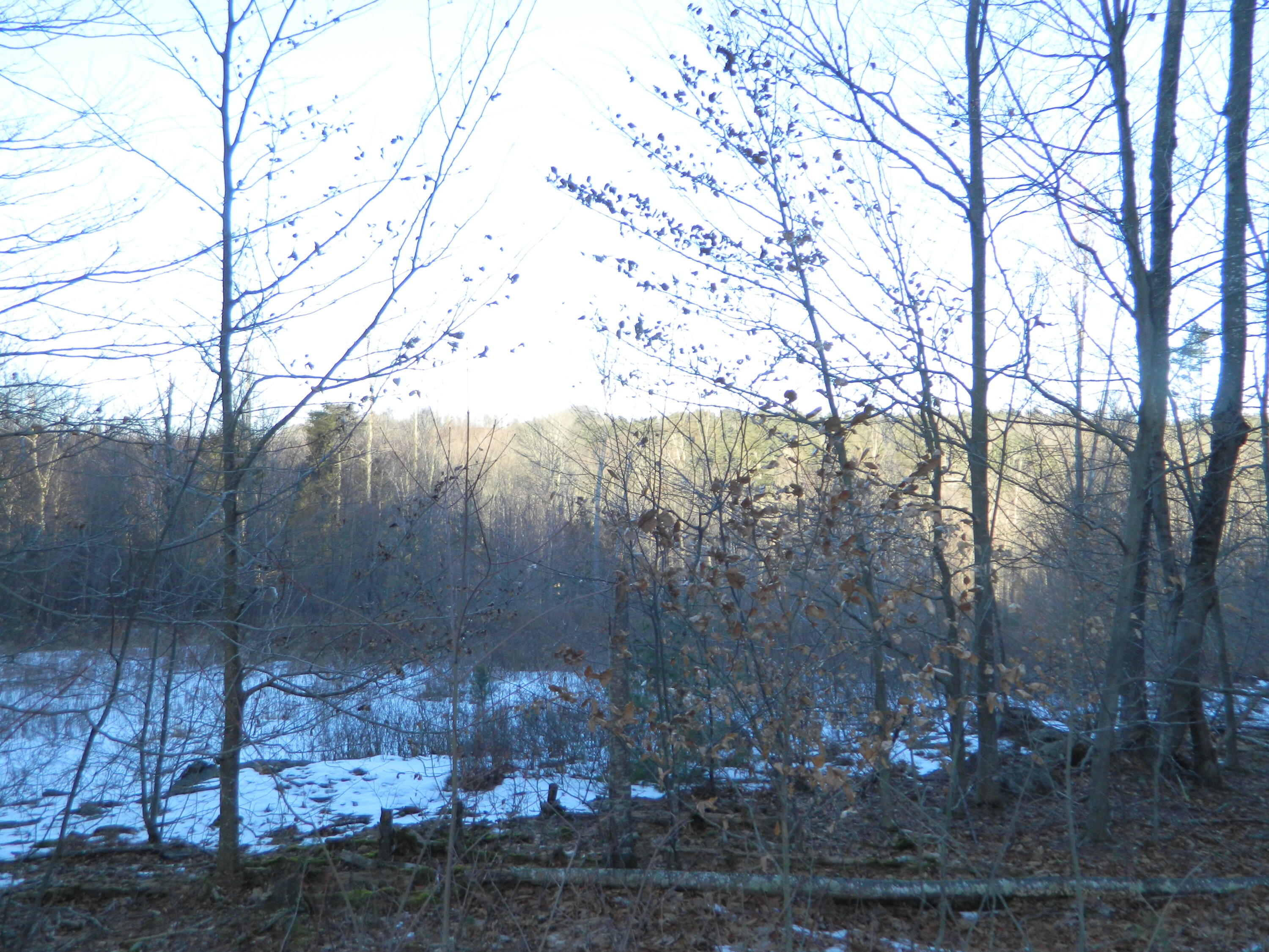 Lot 4 Julian Road, Lubec, ME, 04631