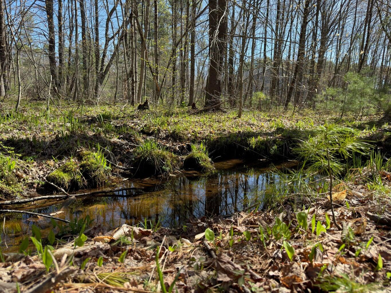 0 Scarlet Way, Lebanon, ME, 04027