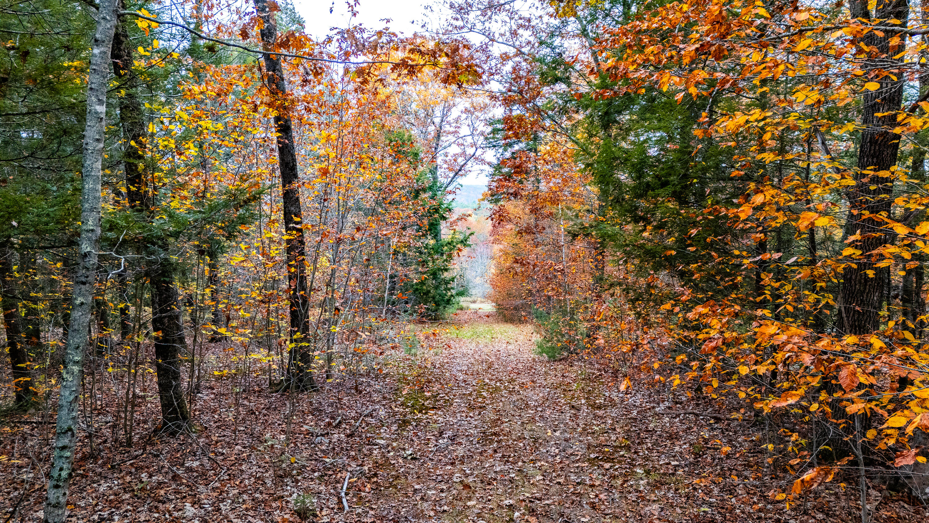 LotUNIT&nbsp;4 Bay View Trail, Edgecomb, ME, 04556