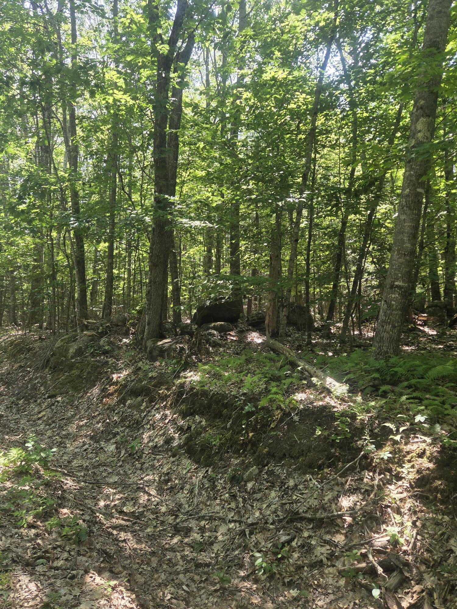Fayette Maine Real Estate