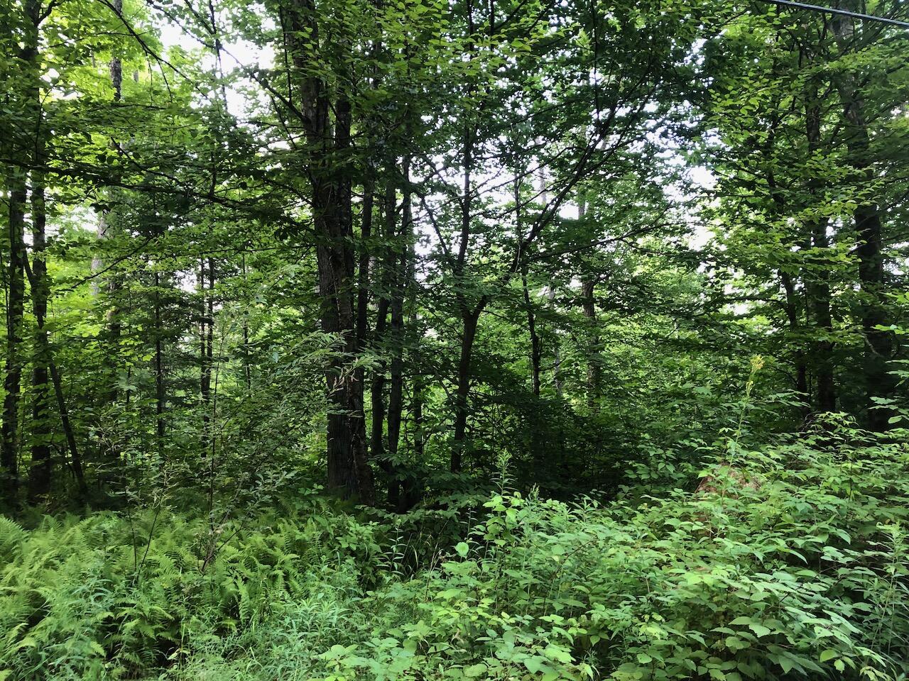 06 Swett Brook Lane, Weld, ME, 04285