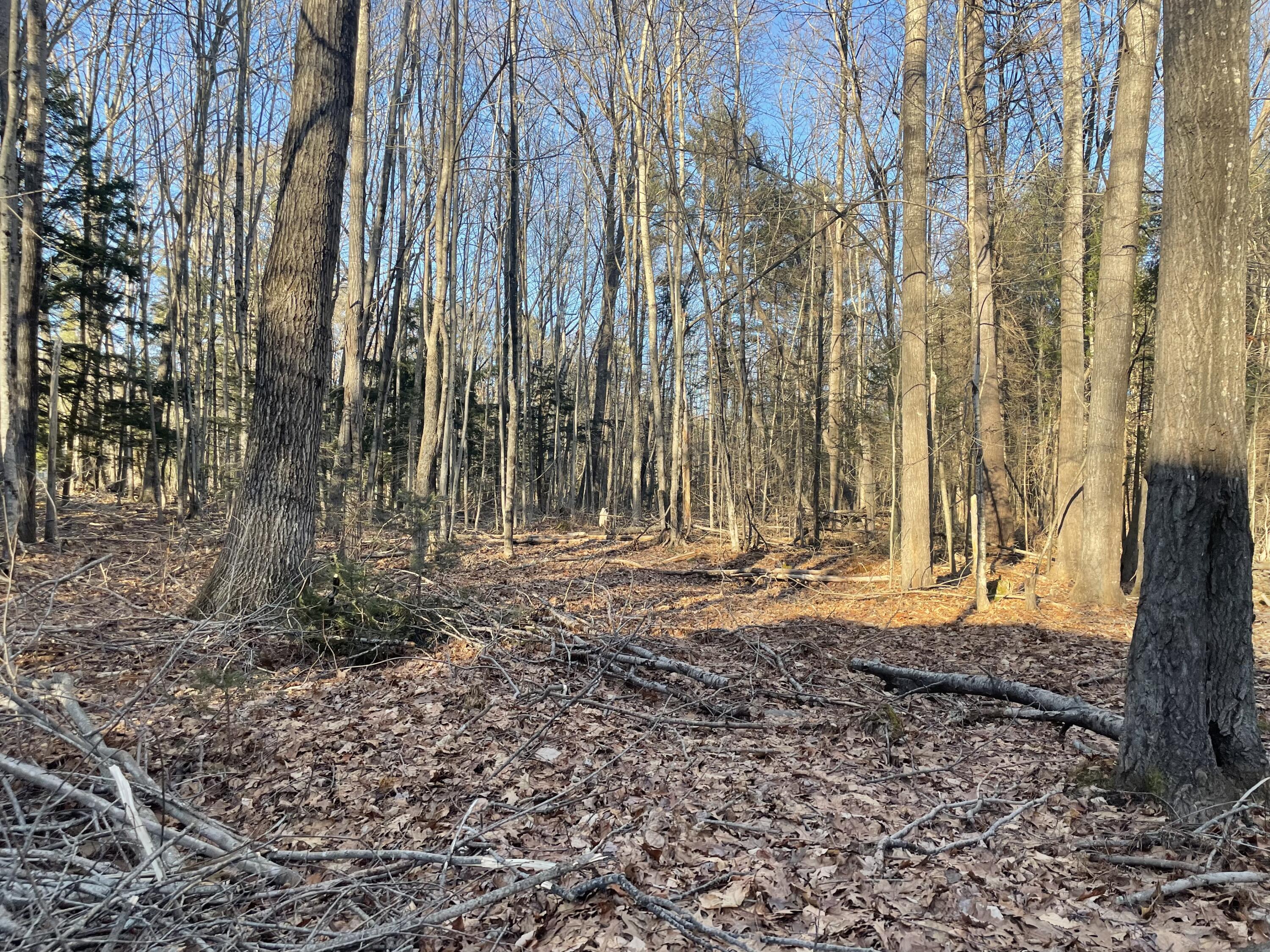 0 Cross Street, Manchester, ME, 04351