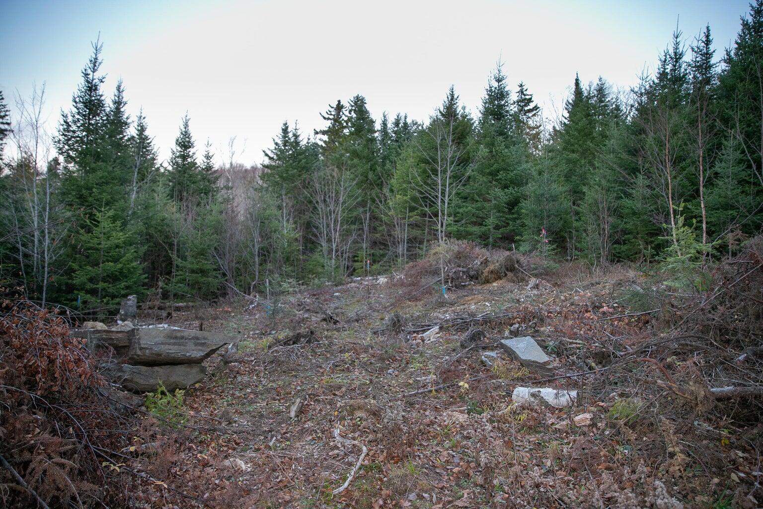 Lot 16 Mill Brook Road, Sandy River Plt, ME, 04970