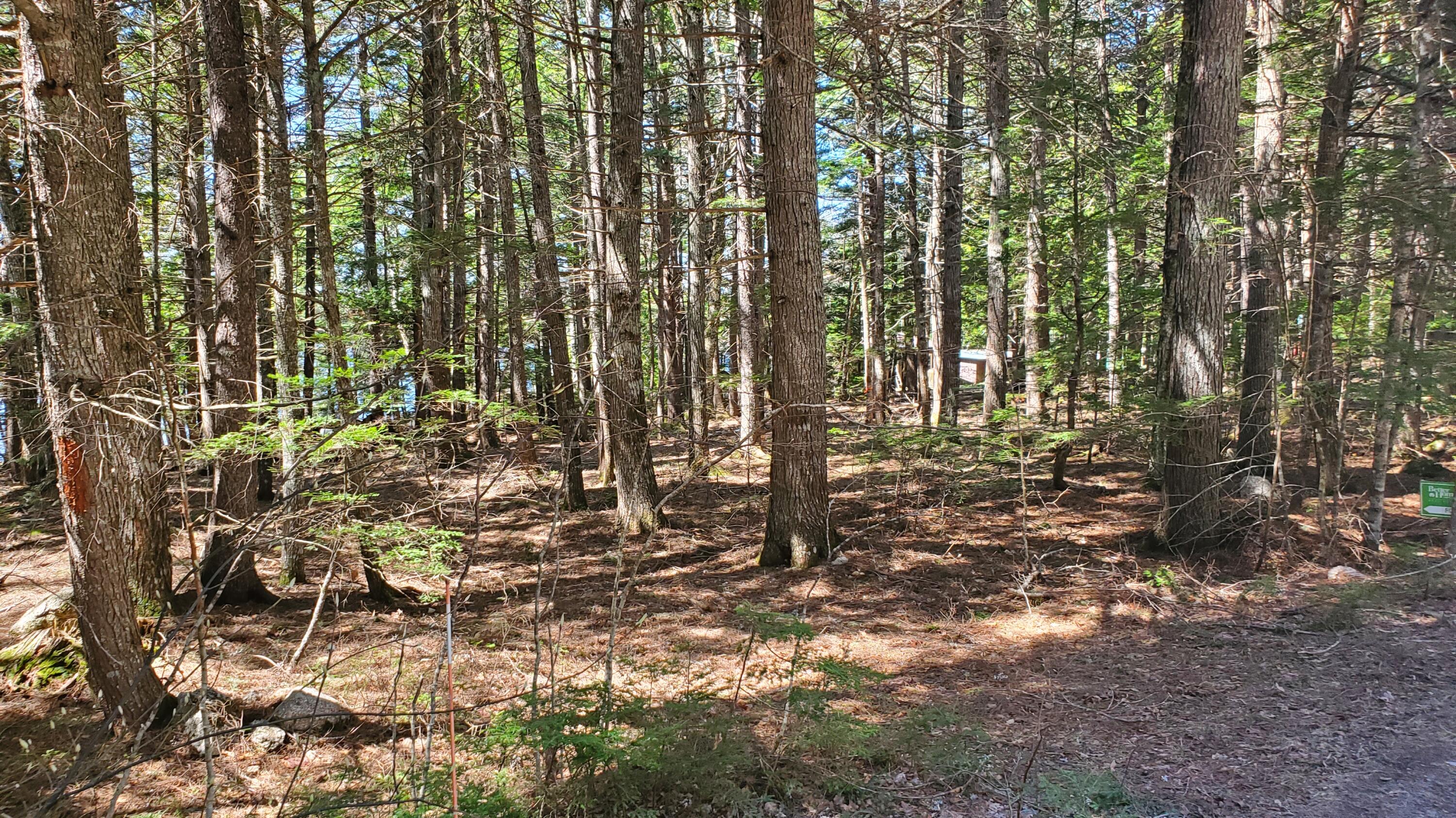 307 Lakeville Shores Road, Lakeville, ME, 04487