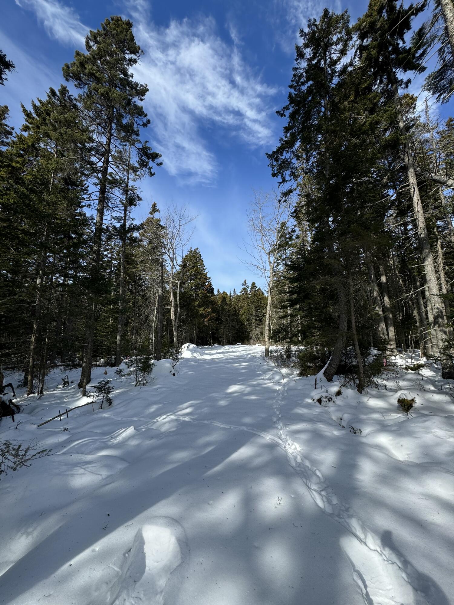 Understanding the Midcoast Maine Real Estate Market