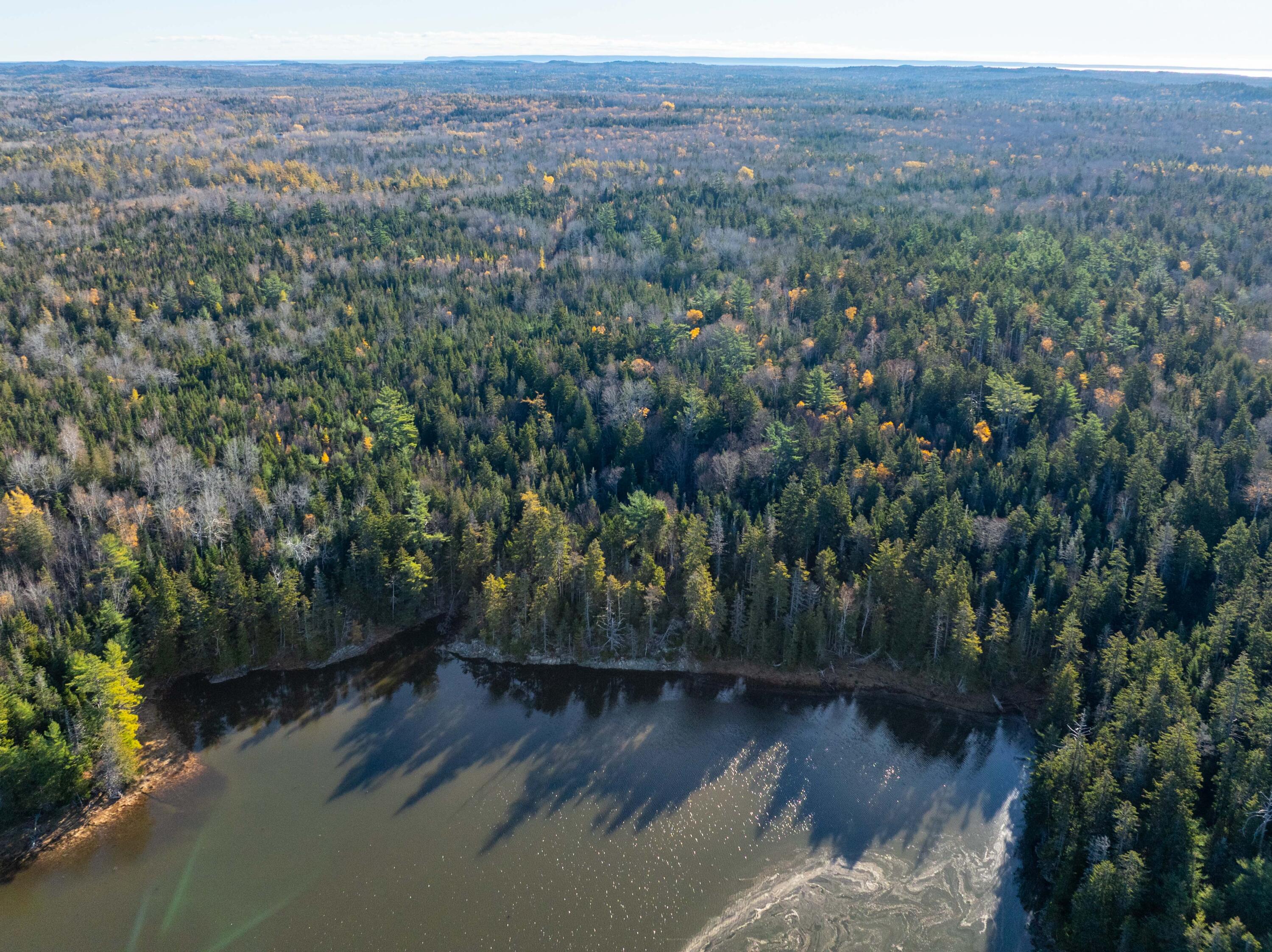 01-4 WA035, Trescott Twp, ME, 04652