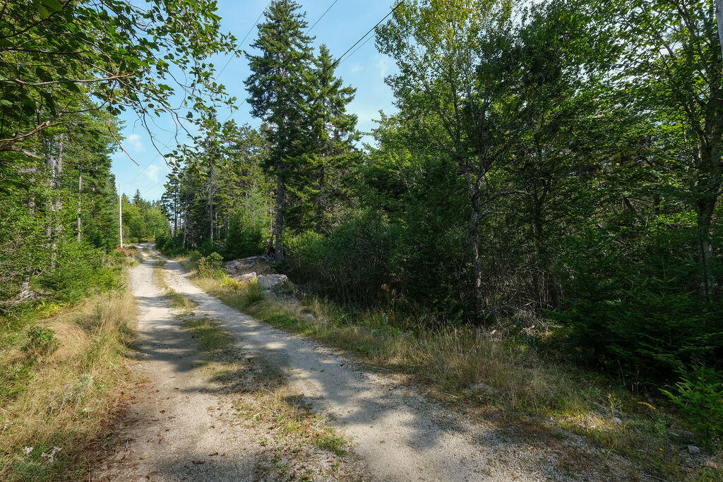 12-1 S Burnt Cove Road, Stonington, ME, 04681