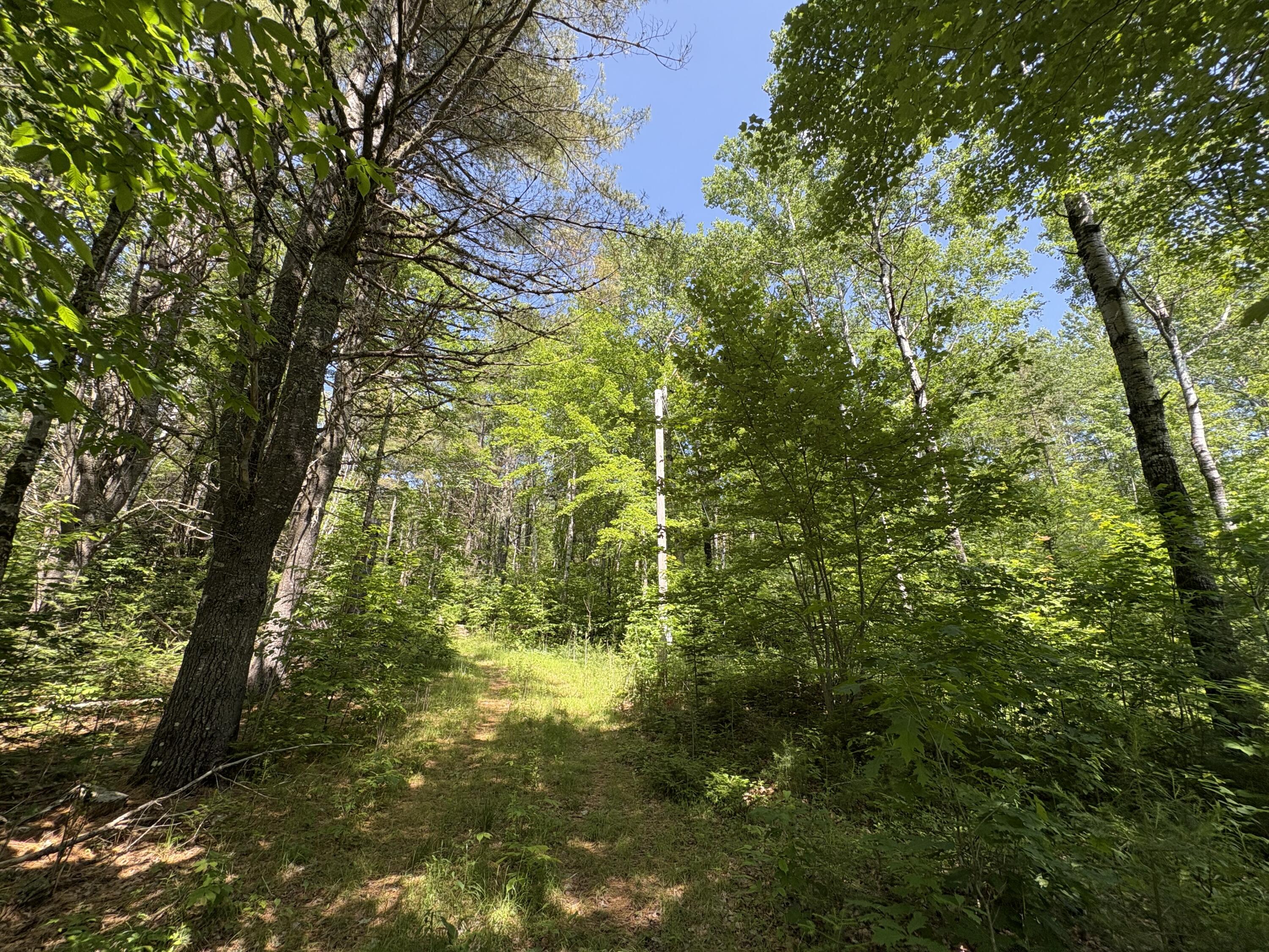 Off Andrews Road, Drew Plt, ME, 04497