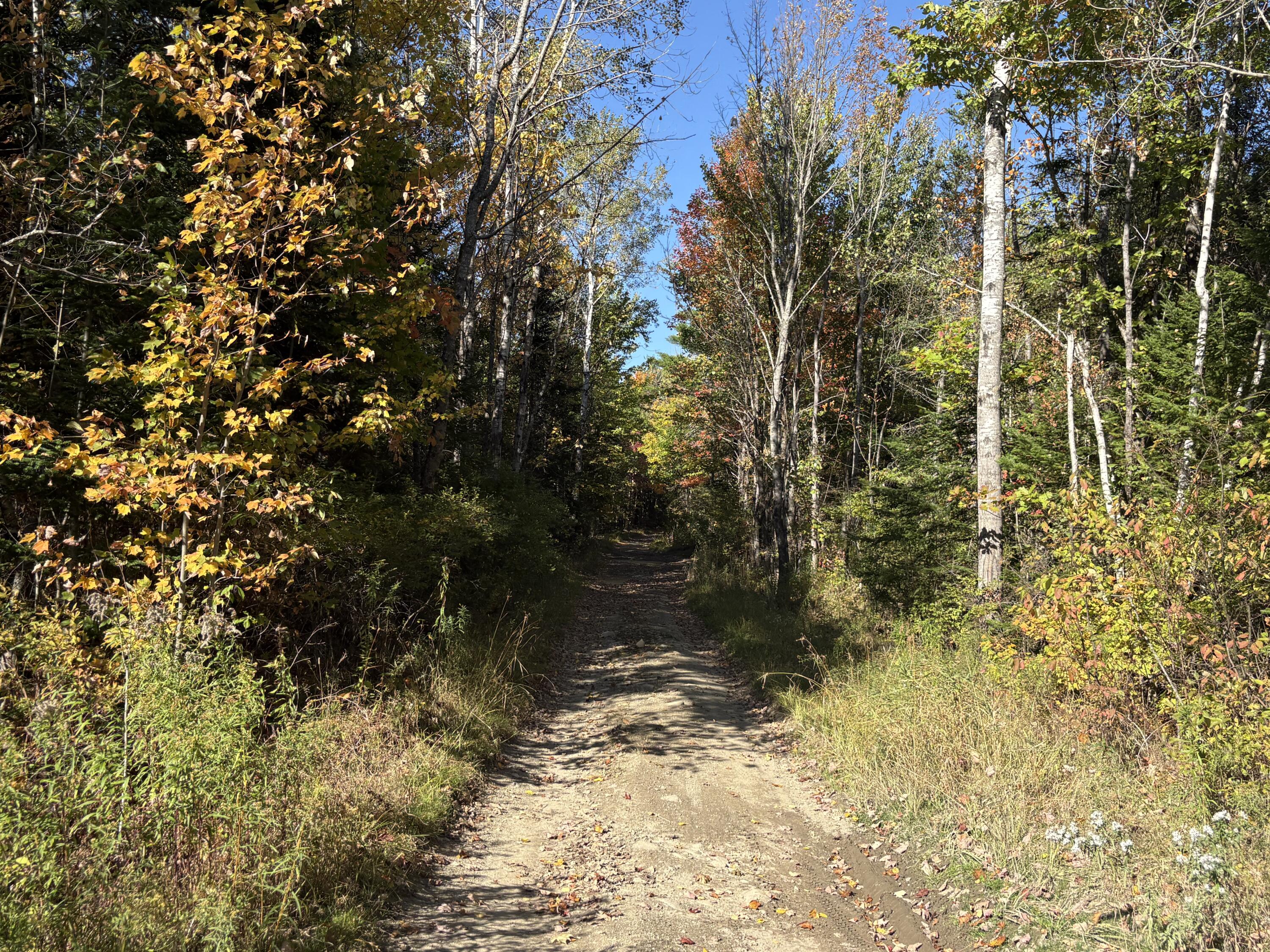 Map1Lot1 Rutland Road, Plymouth, ME, 04969