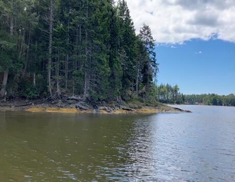 253 Hathorne Point Road, Cushing, ME, 04563