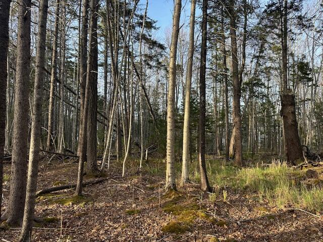 0 Harbor Road, Camden, ME, 04843