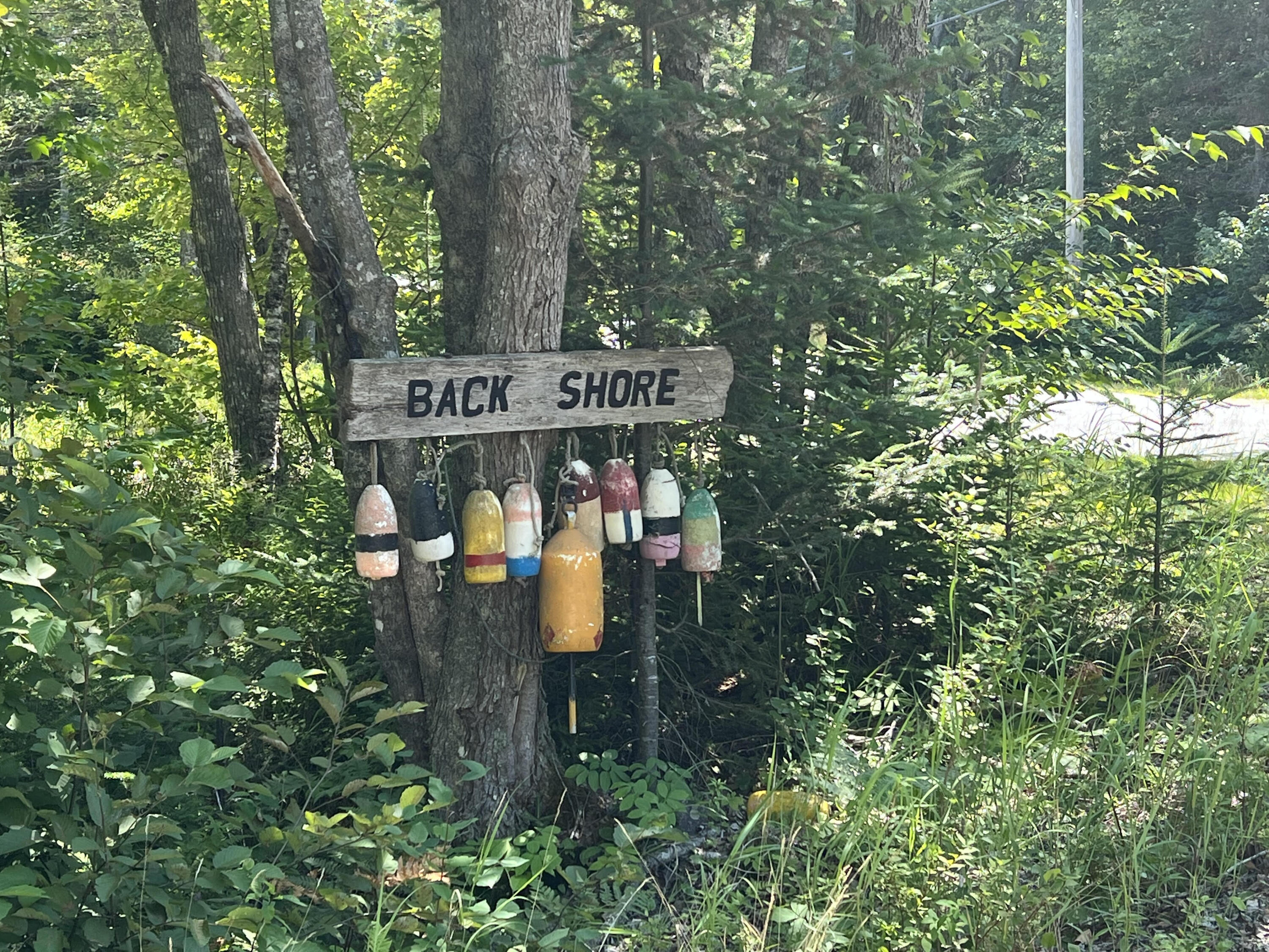 86 Back Shore Road, Steuben, ME 04680 Back Shore Sign