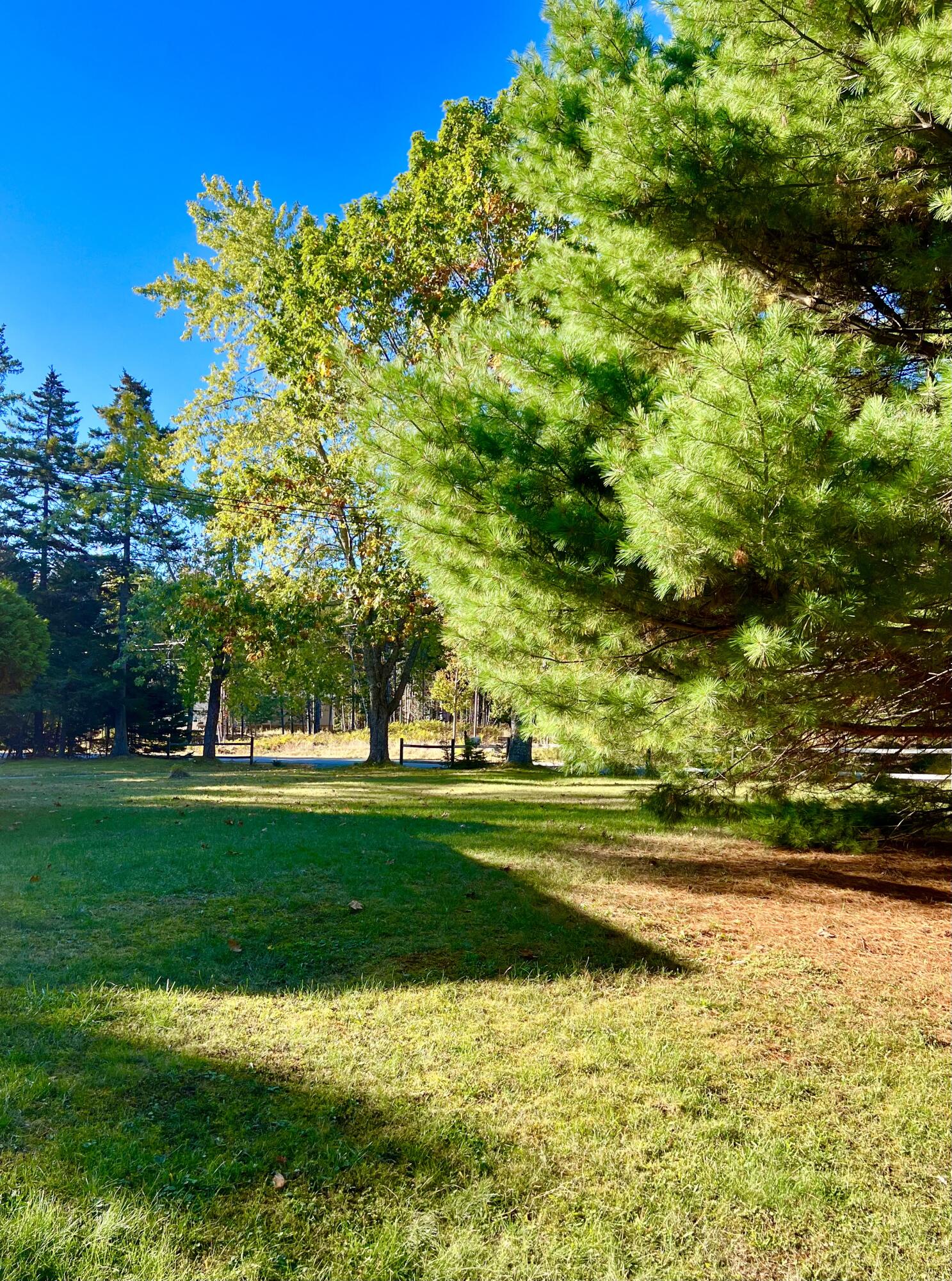 17 Freeman Ridge Road, Southwest Harbor, ME, 04679