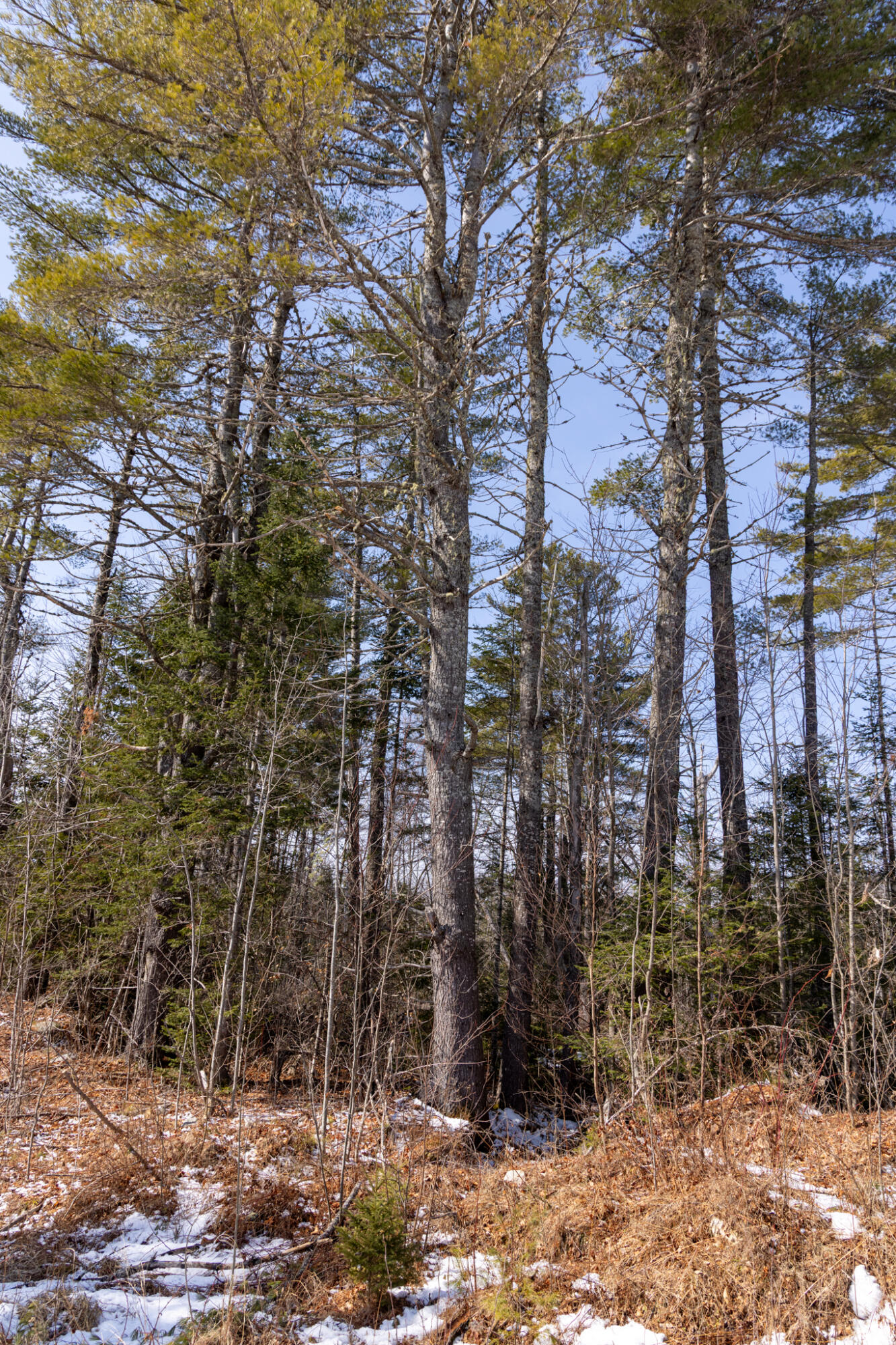 M4L38&39 West Old Main Road, Lowell, ME, 04493