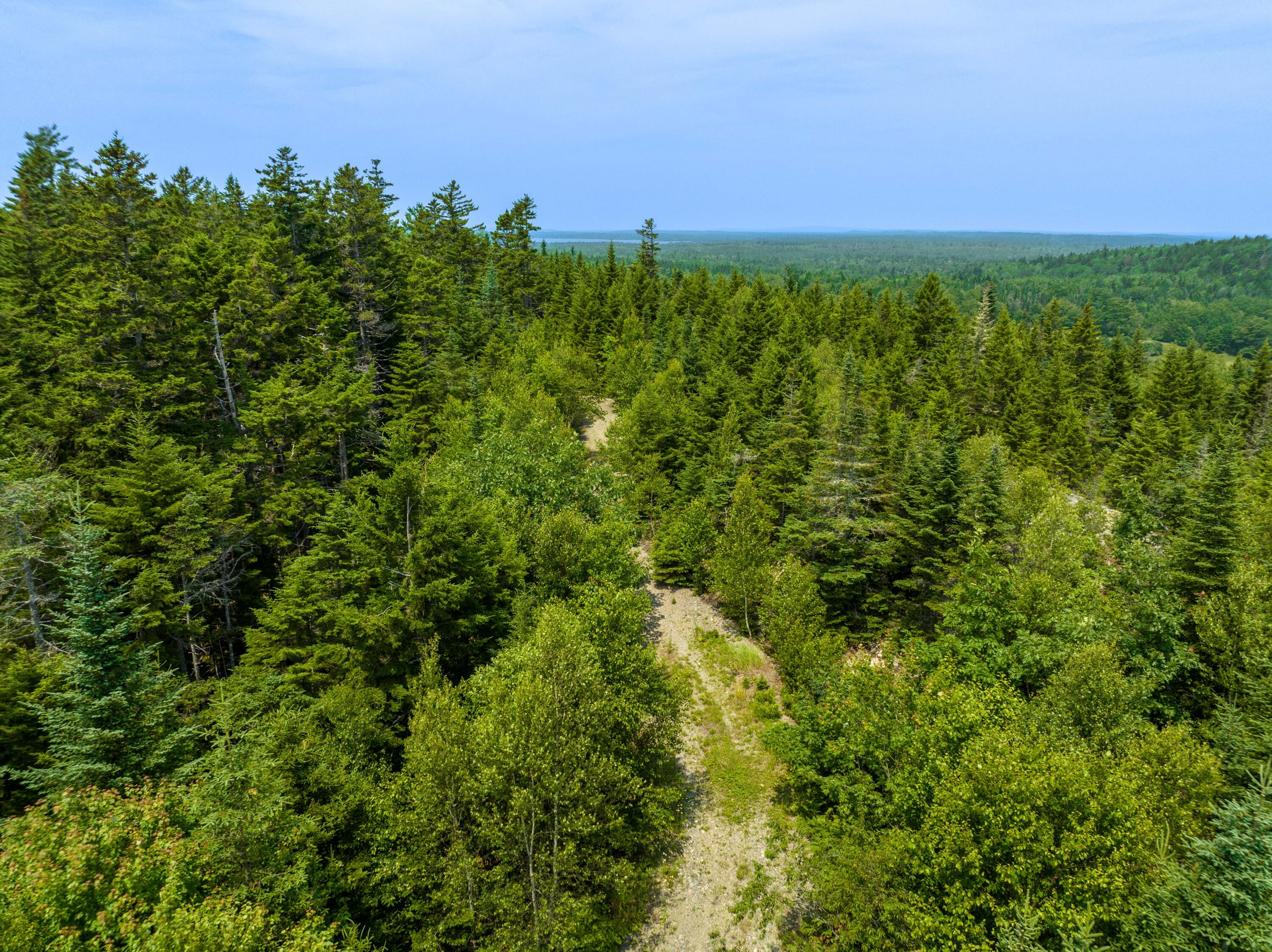 65 Lookout Mountain Road, East Machias, ME, 04630